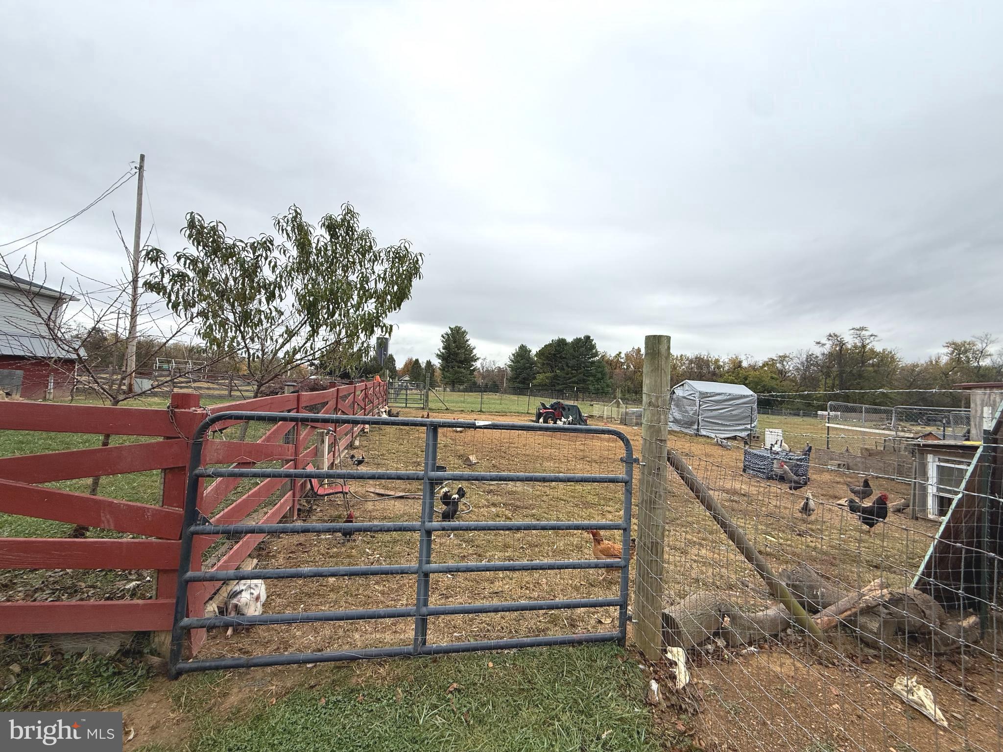 KEARNEYSVILLE - Residential