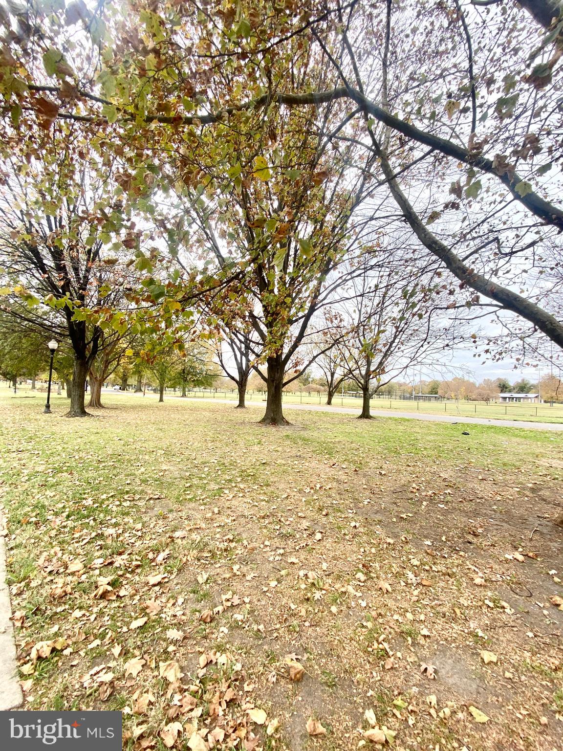 WASHINGTON VILLAGE - Residential