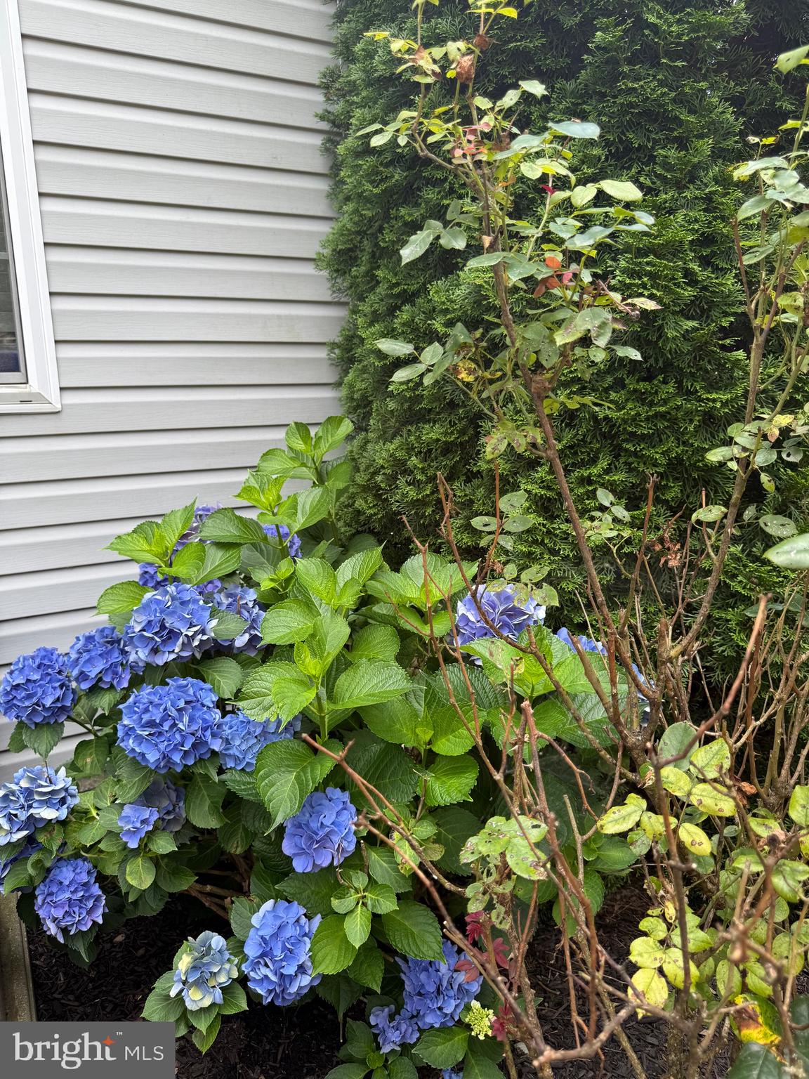 MANCHESTER FARMS - Residential