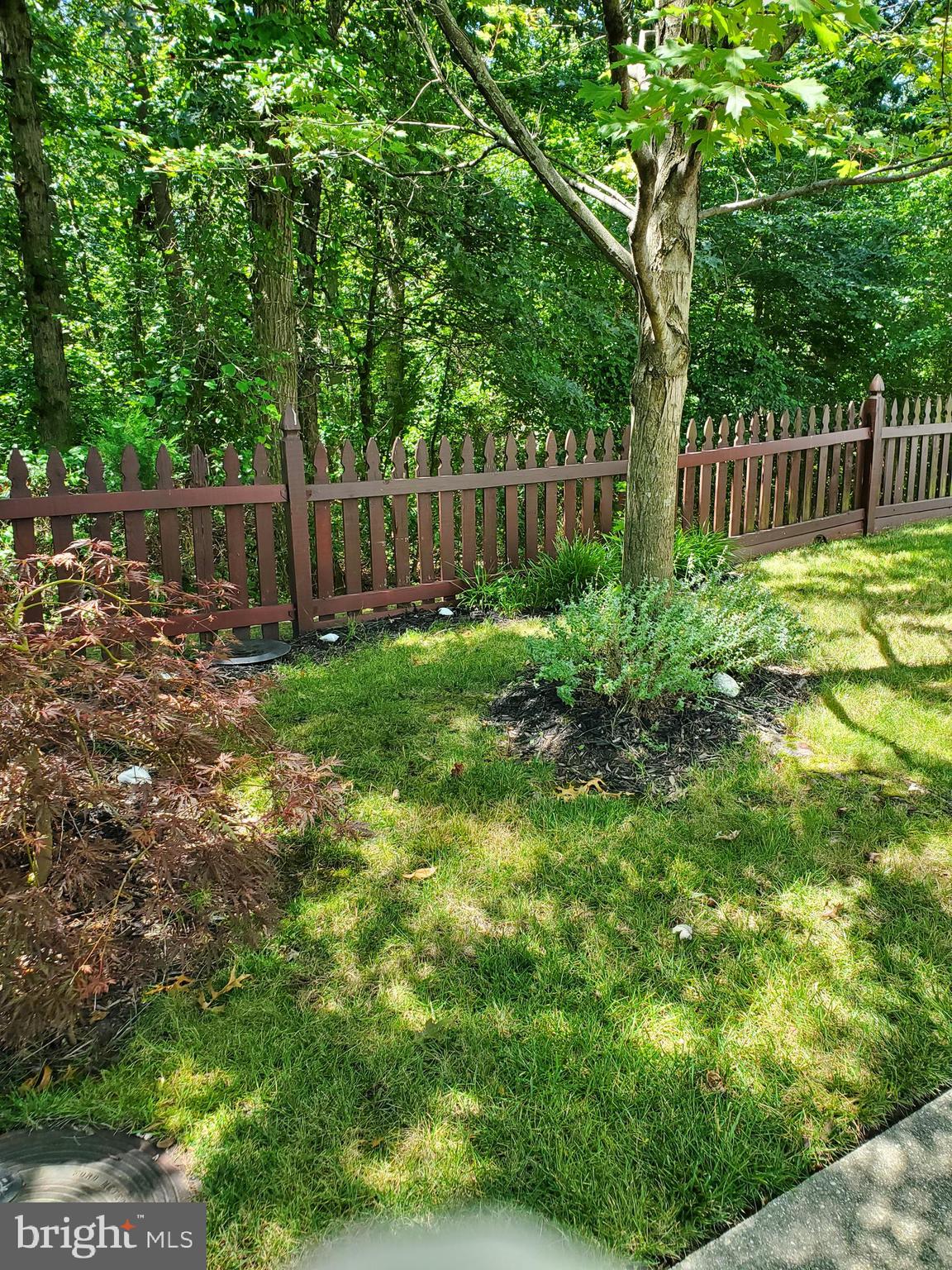 PINEY ORCHARD - Residential Lease