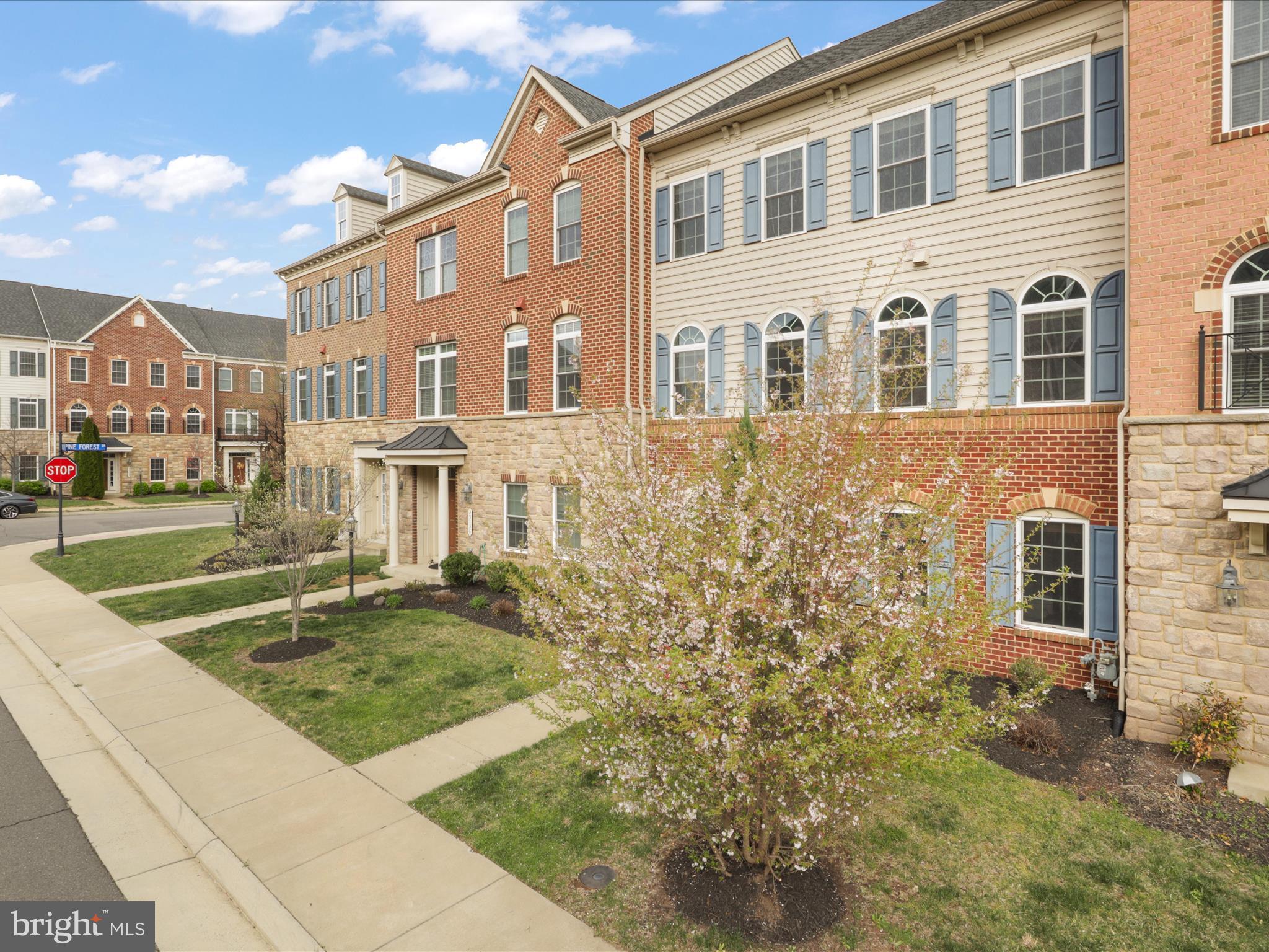 AVONLEA - Residential Lease