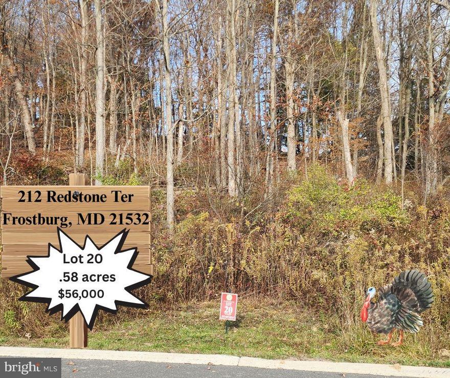 Welcome to Sand Spring Run Subdivision, Frostburg’s premier residential community surrounded by natural beauty and mountain charm. Lot 20 offers 0.58 acres of gently sloping land with breathtaking mountain views, providing the perfect canvas to build your dream home.

Enjoy the peace of country living while staying close to everything you need—Frostburg State University, shopping, medical facilities, and easy access to Interstate 68 for convenient commuting.

Experience the best of Western Maryland living in a thoughtfully designed neighborhood with protective covenants and restrictions to maintain the integrity and value of your investment.  CALL TODAY FOR MORE INFORMATION!