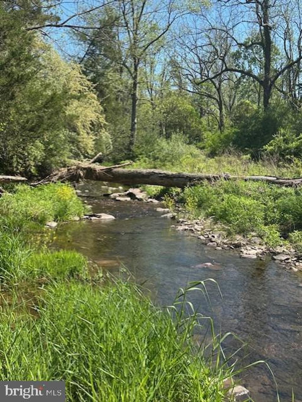 Photo of 0 Old Easton Road, PIPERSVILLE, PA 18947 (MLS # PABU2095398)