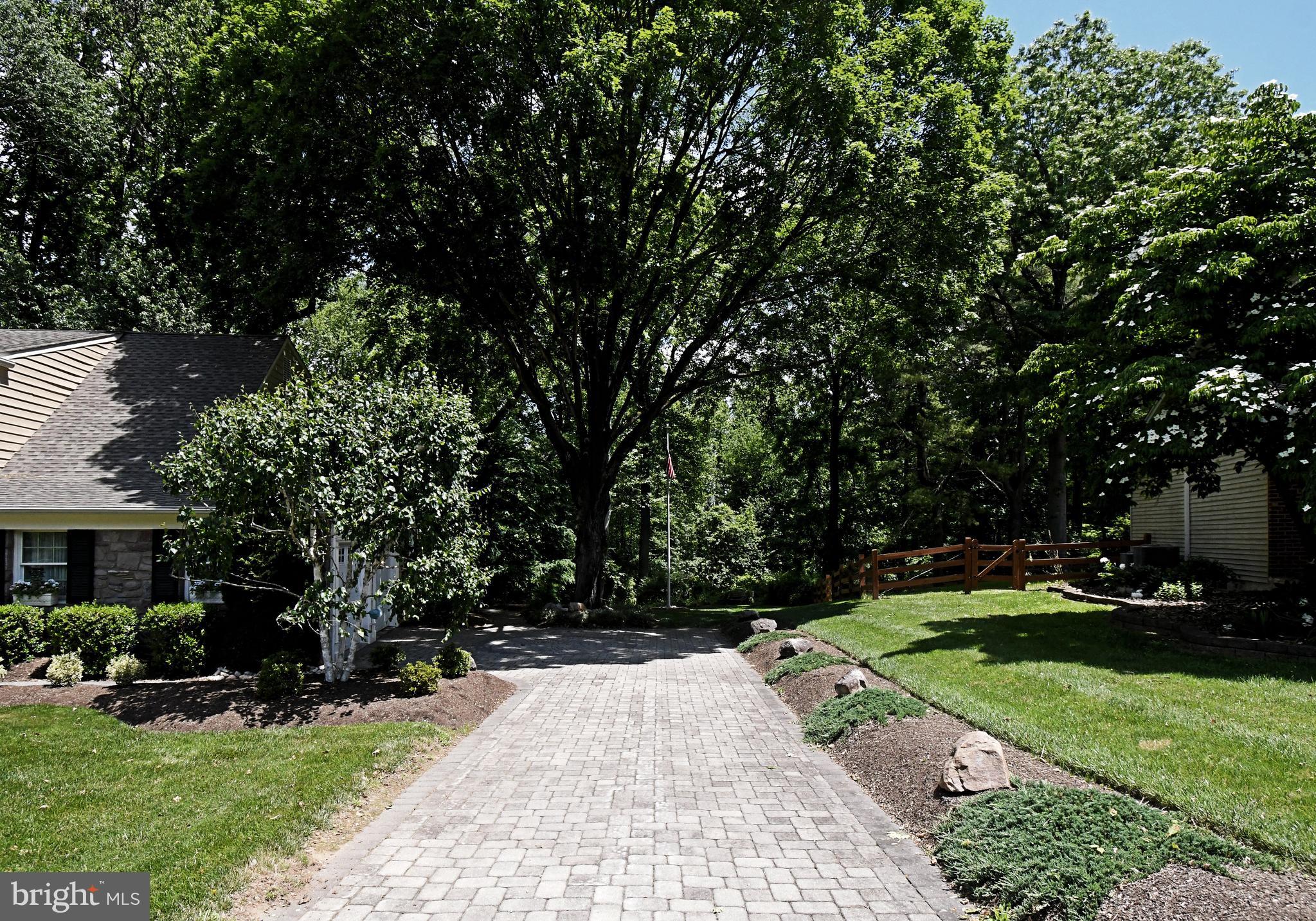 1138 UNIVERSITY DRIVE