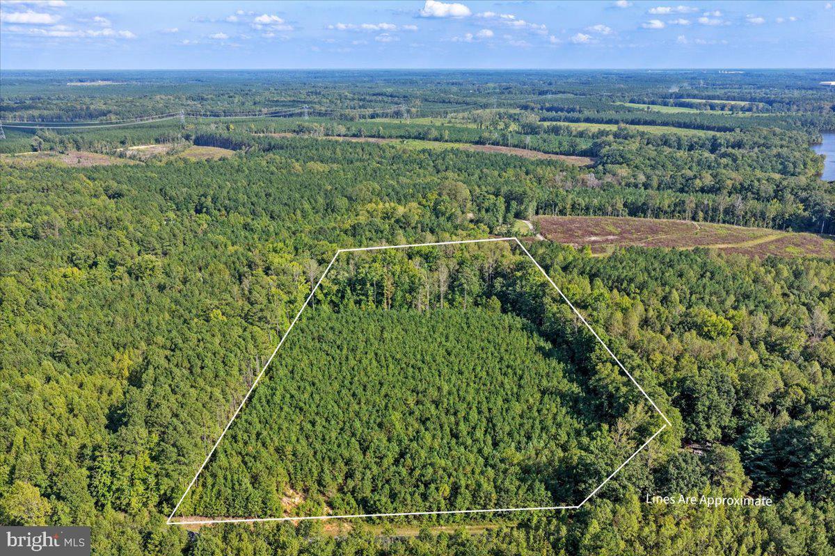 Lot 7 & 8 COUNTY POND ROAD