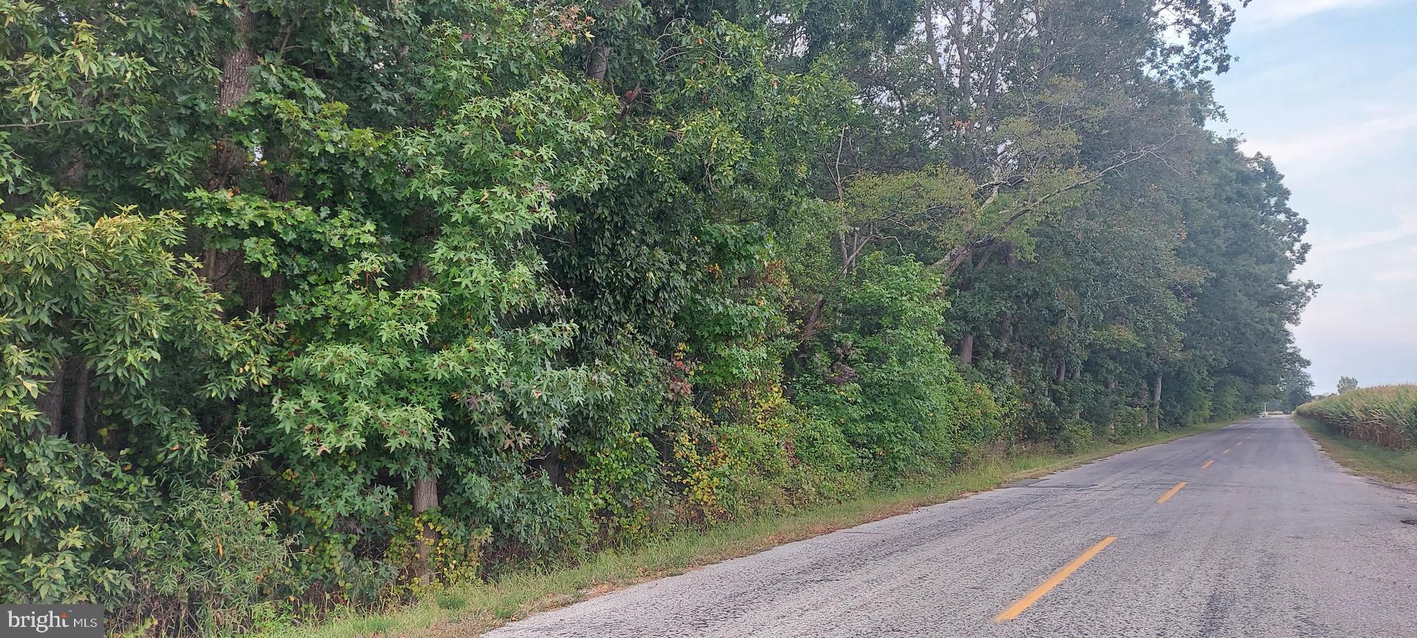 0 MC KISHEN ROAD 00011 010