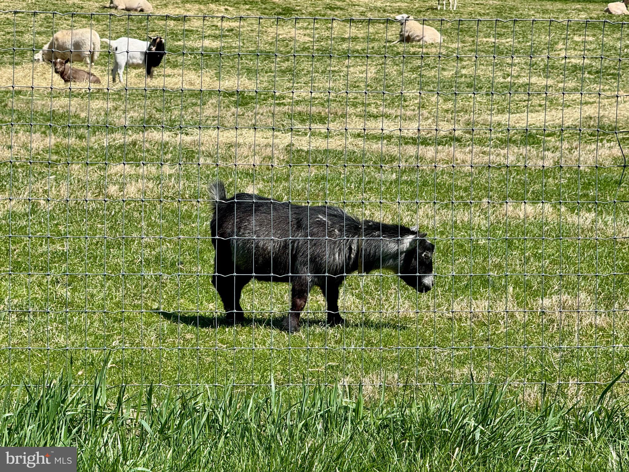 WALNUT GLEN - Residential