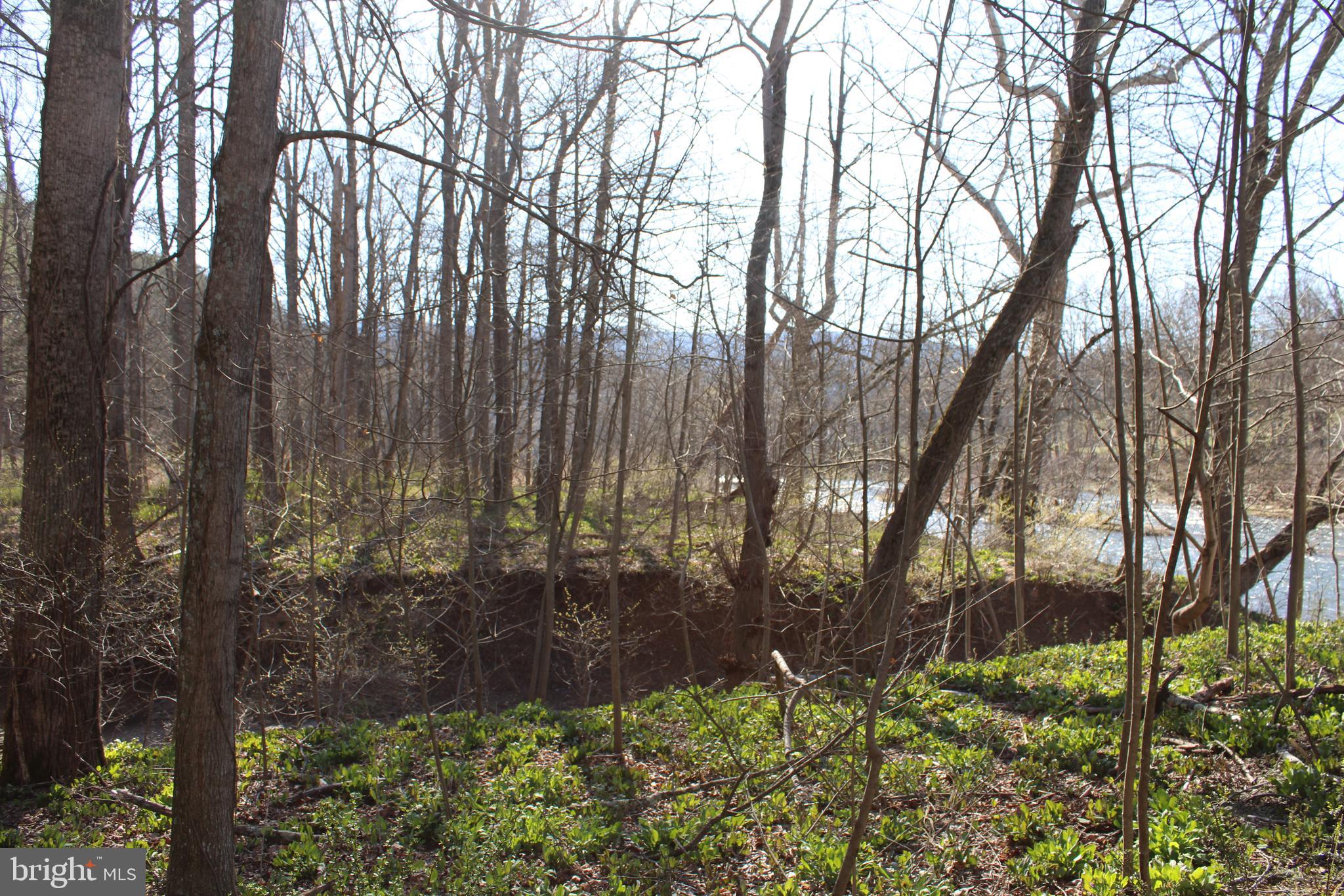 CACAPON HILLS - Land