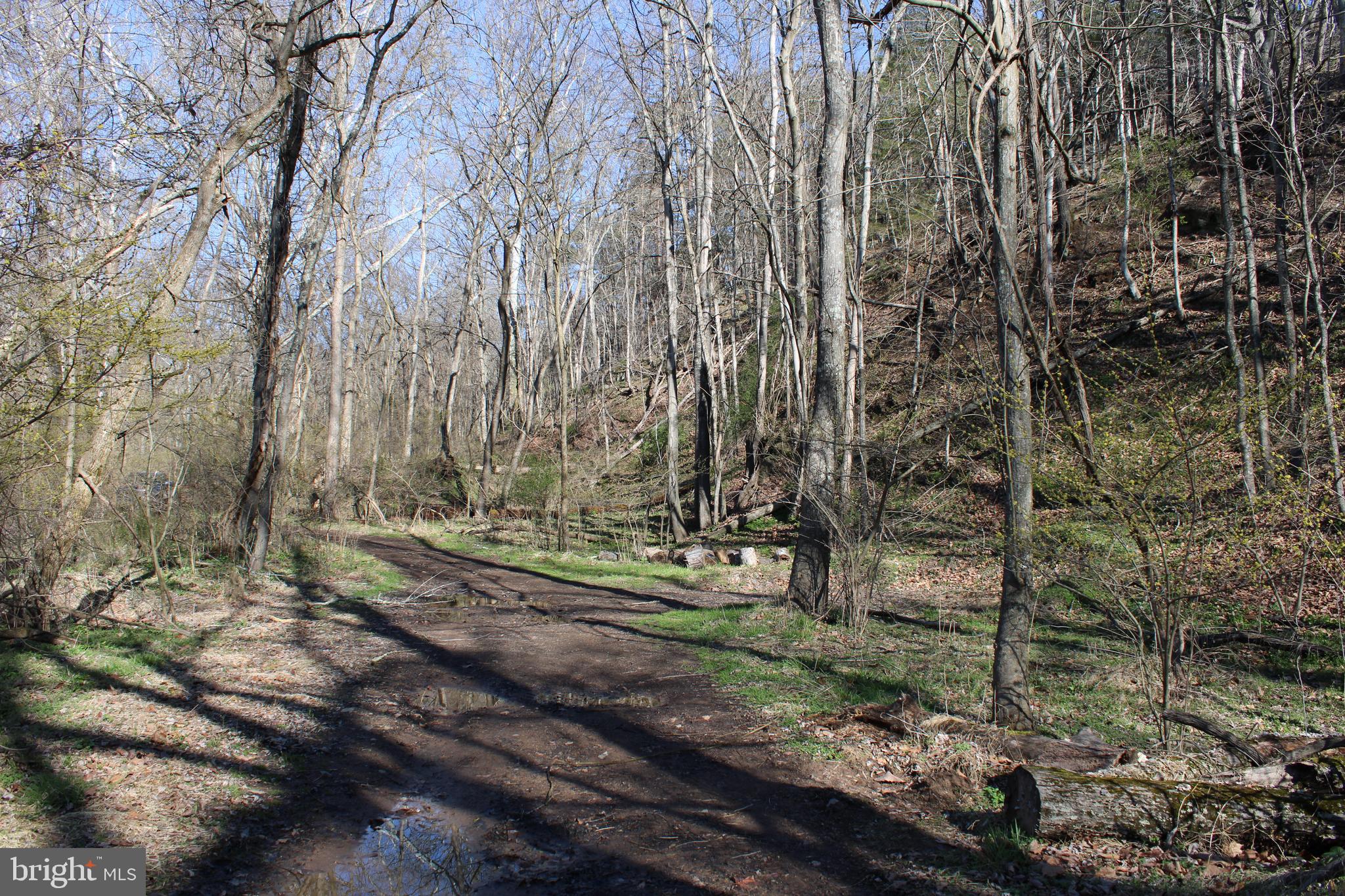 CACAPON HILLS - Land