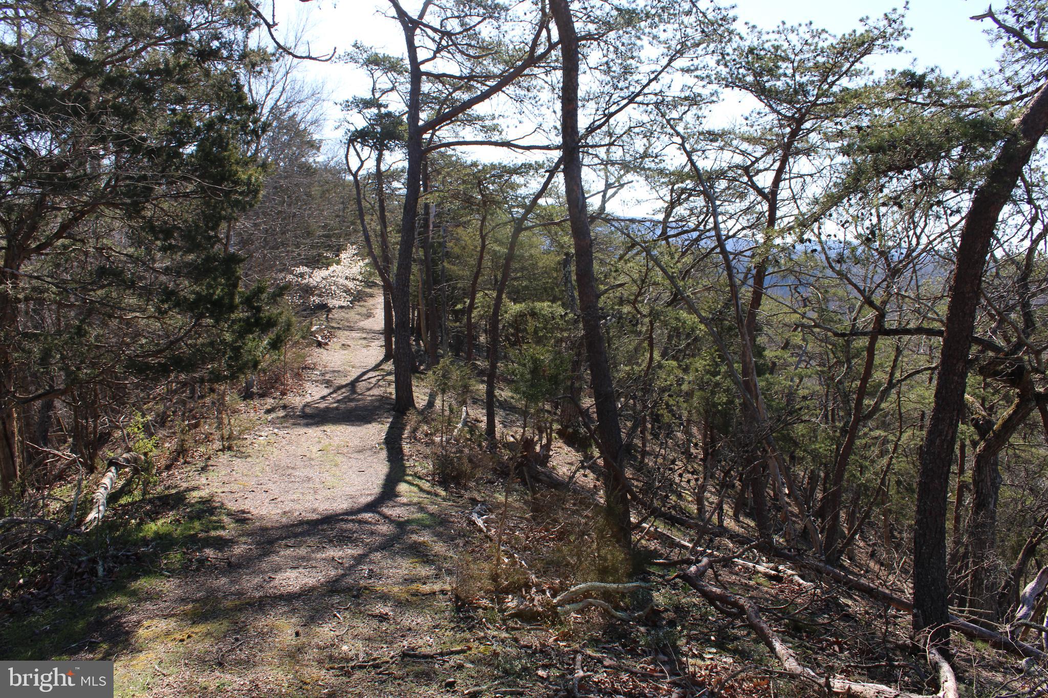 CACAPON HILLS - Land