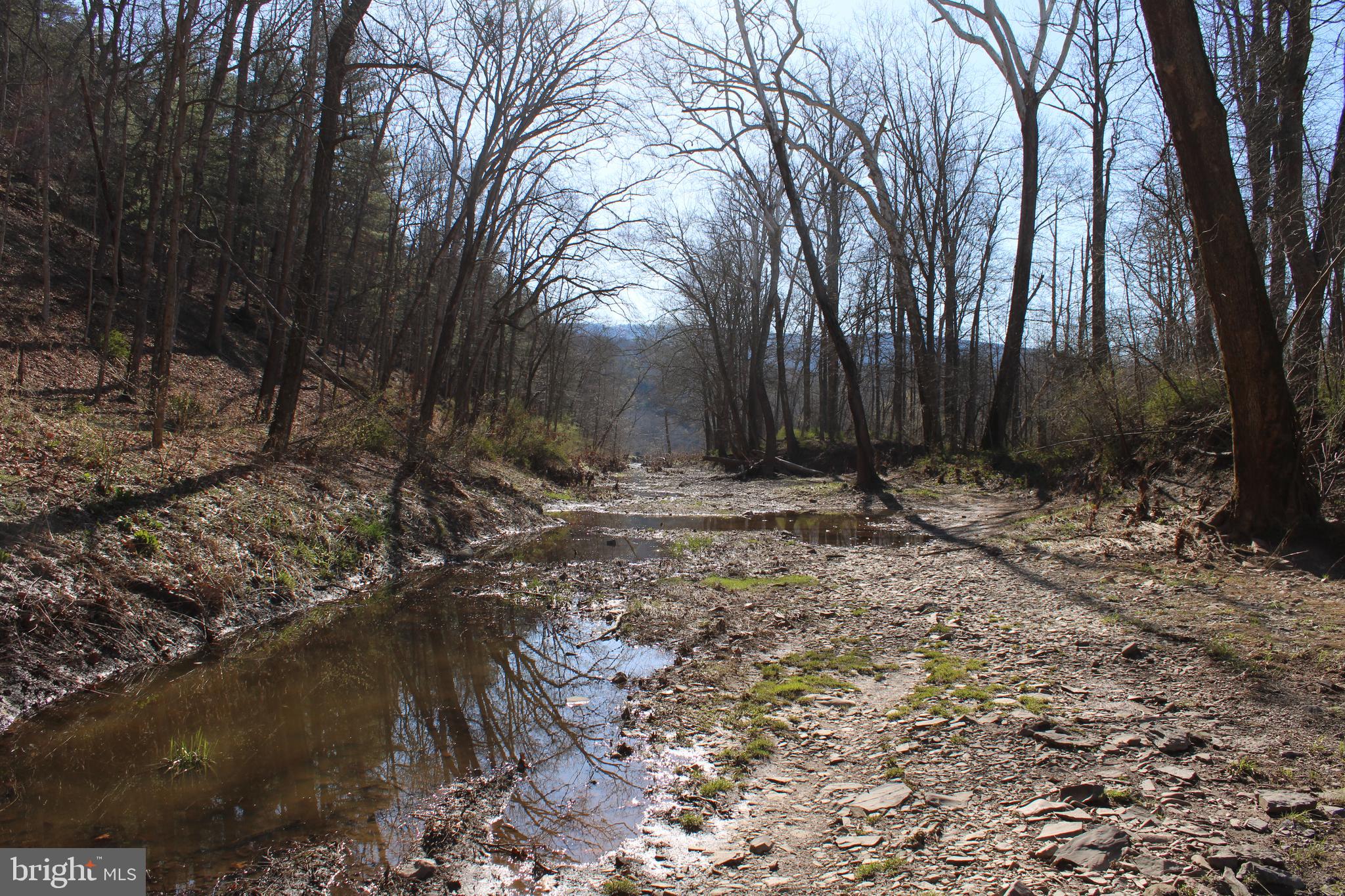 CACAPON HILLS - Land