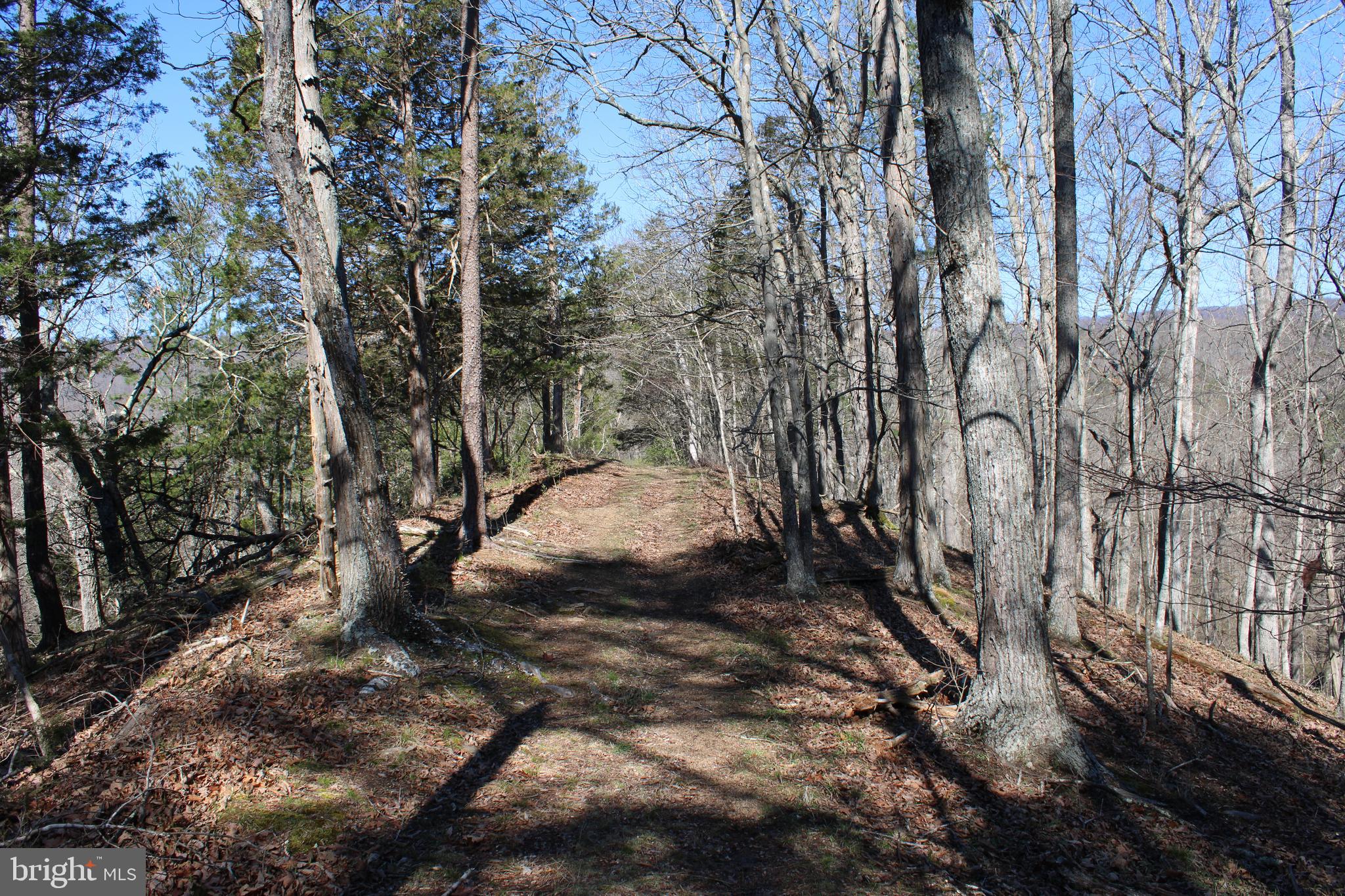 CACAPON HILLS - Land