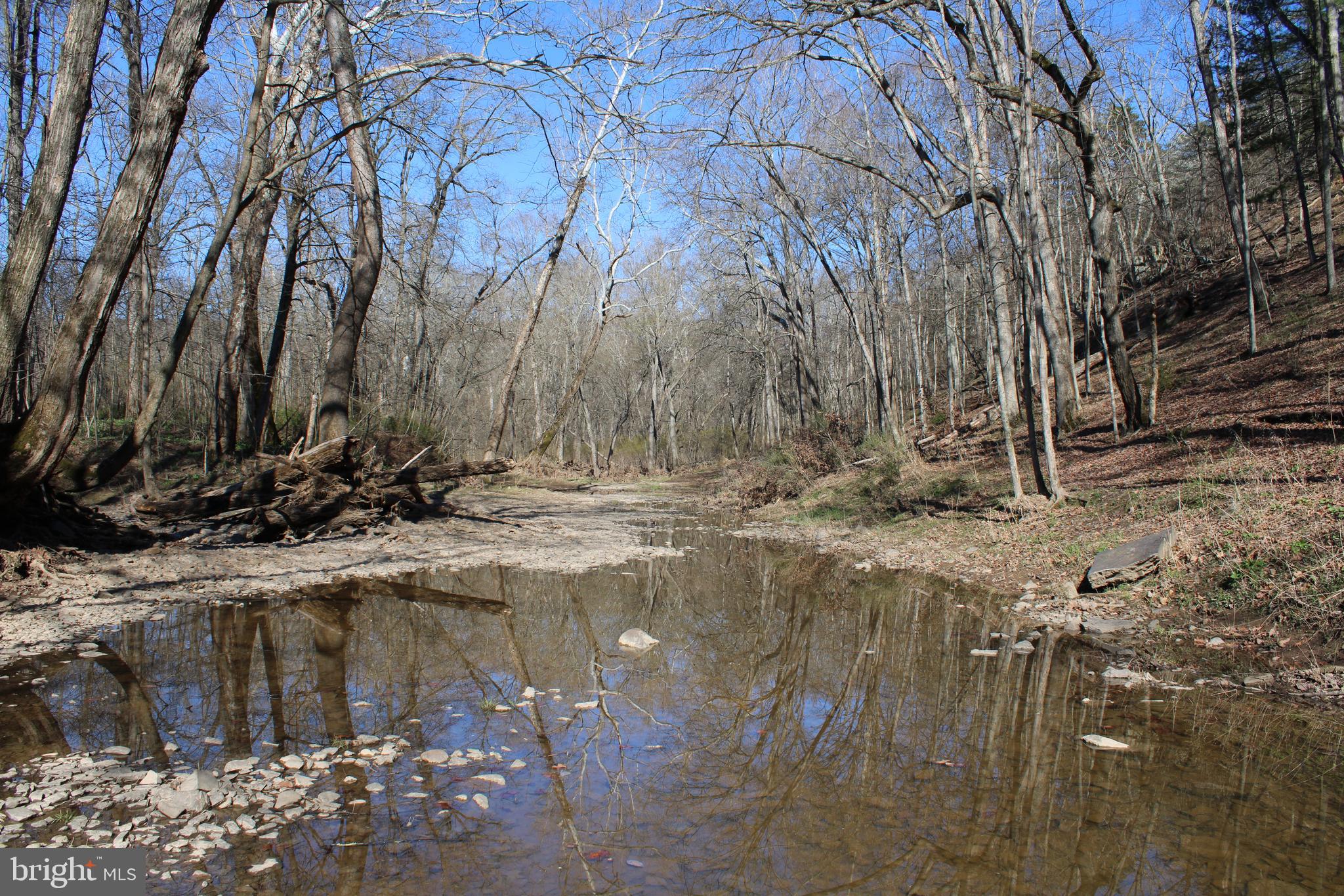 CACAPON HILLS - Land