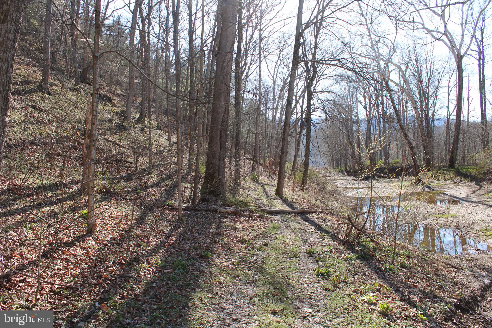 CACAPON HILLS - Land