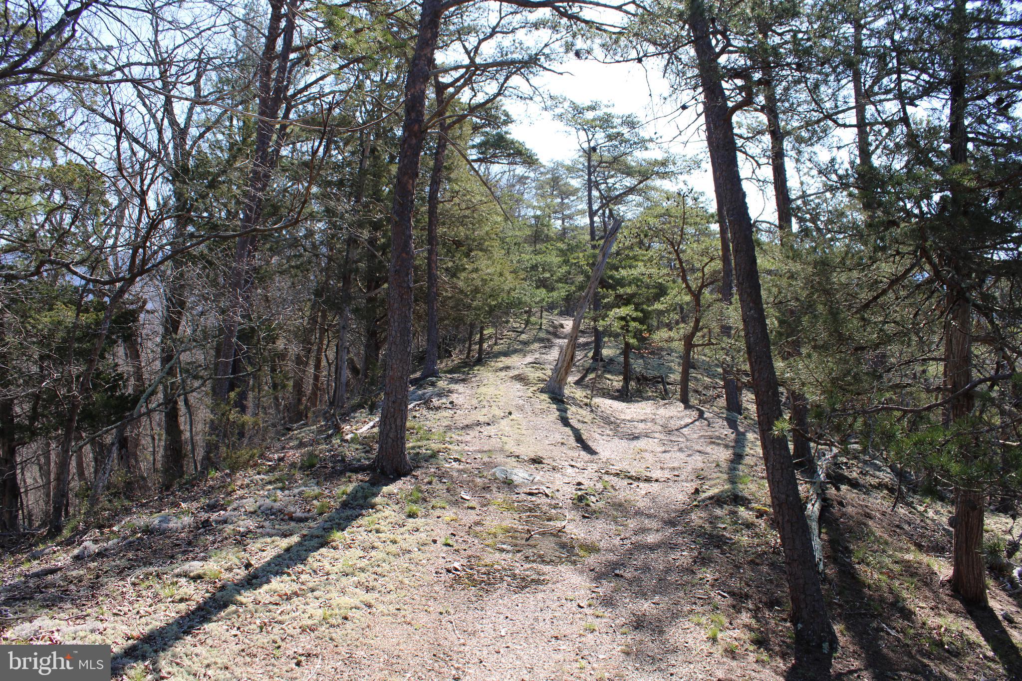 CACAPON HILLS - Land