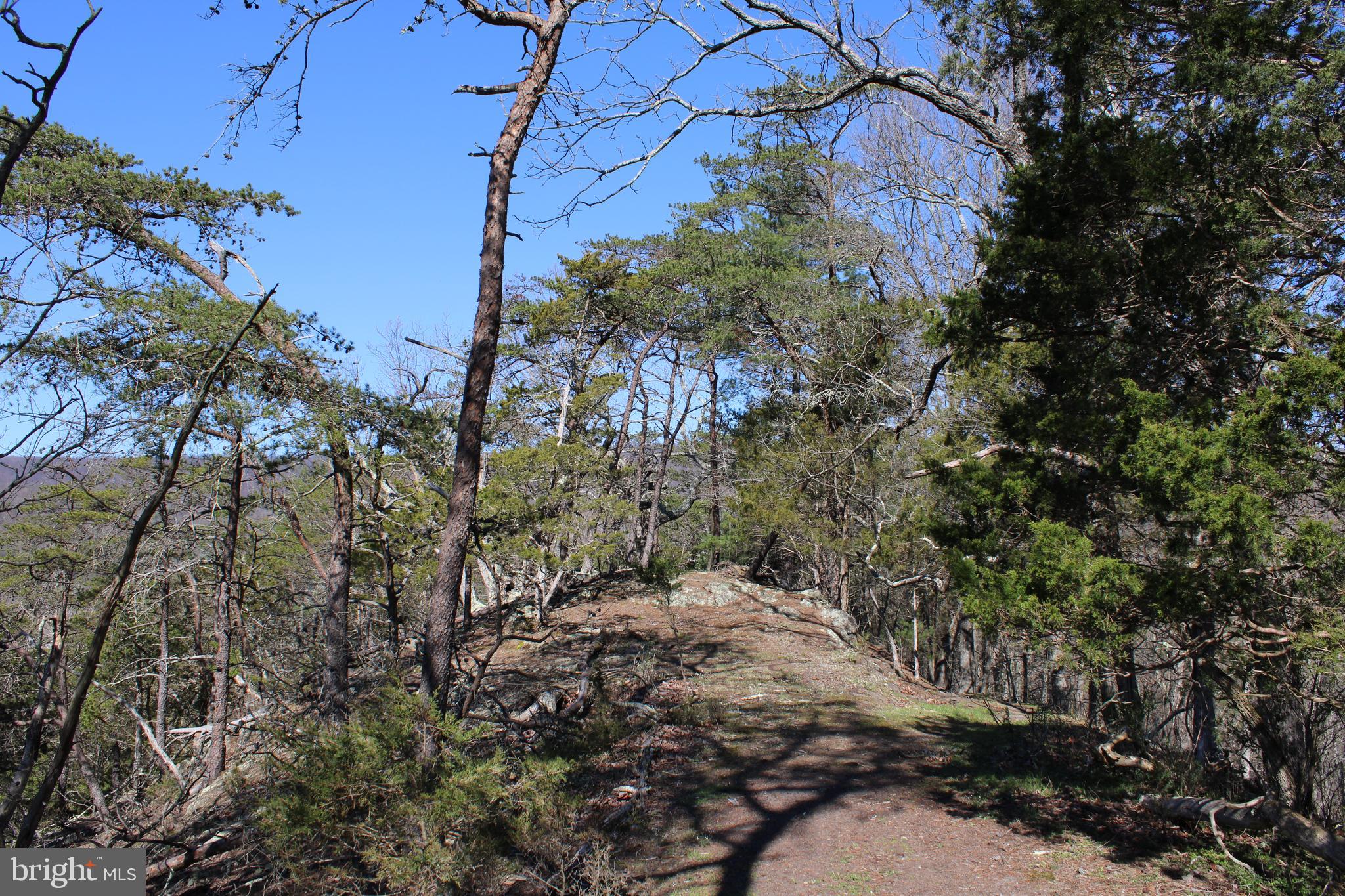 CACAPON HILLS - Land