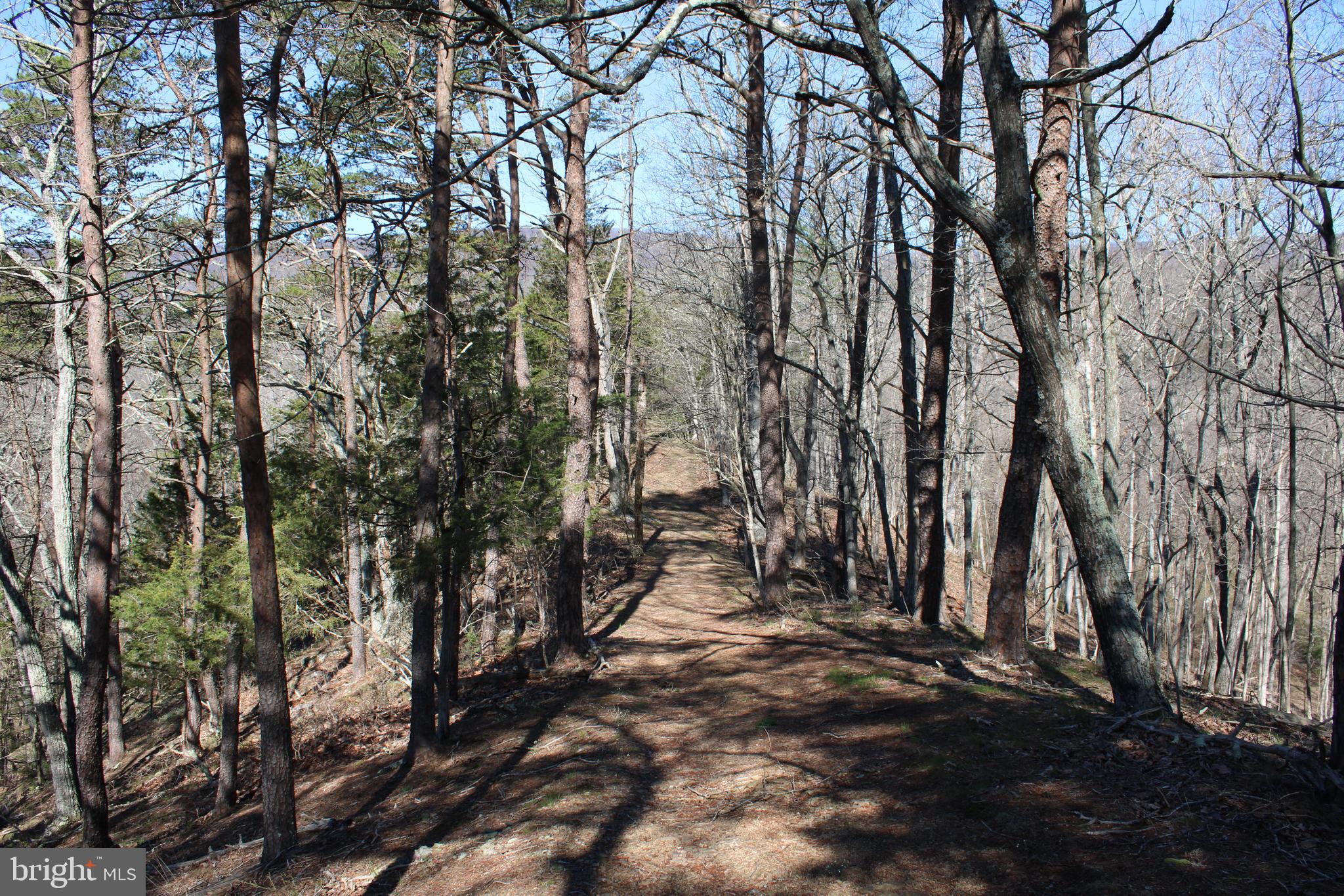 CACAPON HILLS - Land