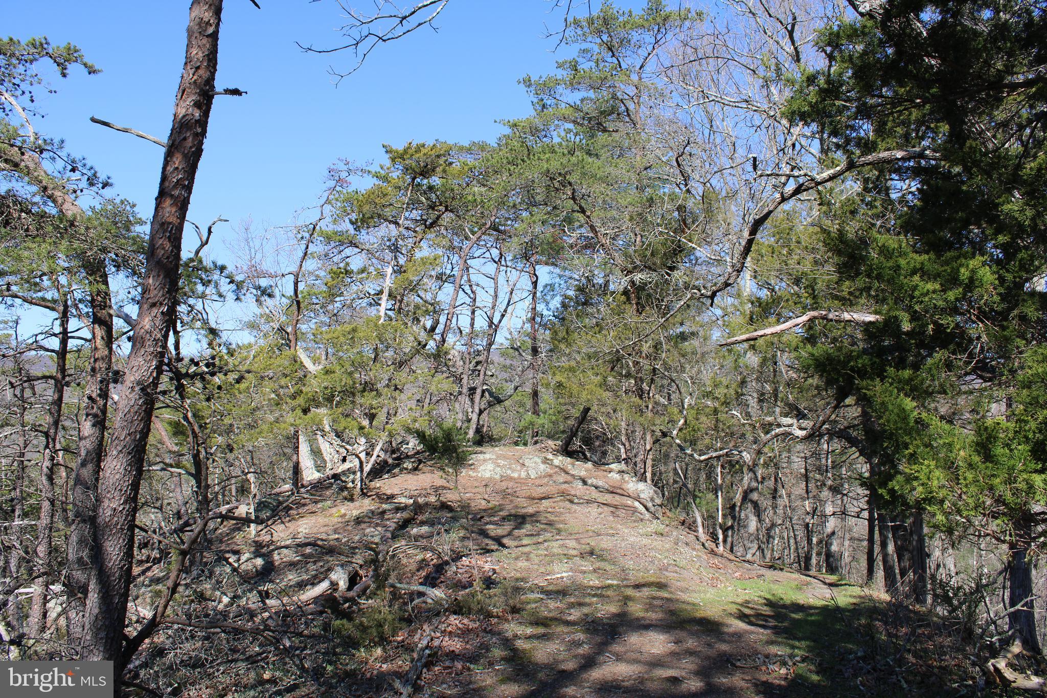 CACAPON HILLS - Land