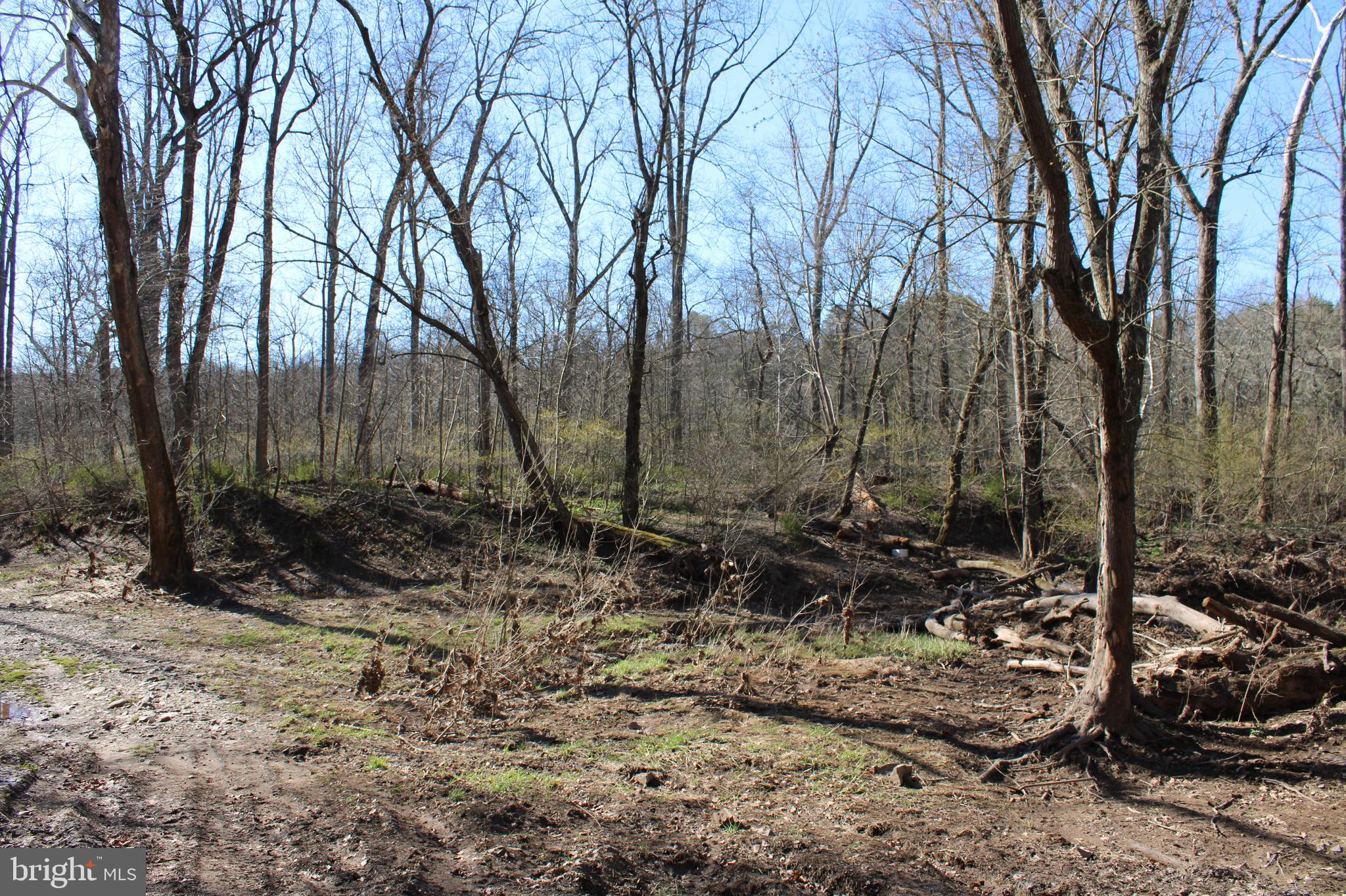 CACAPON HILLS - Land