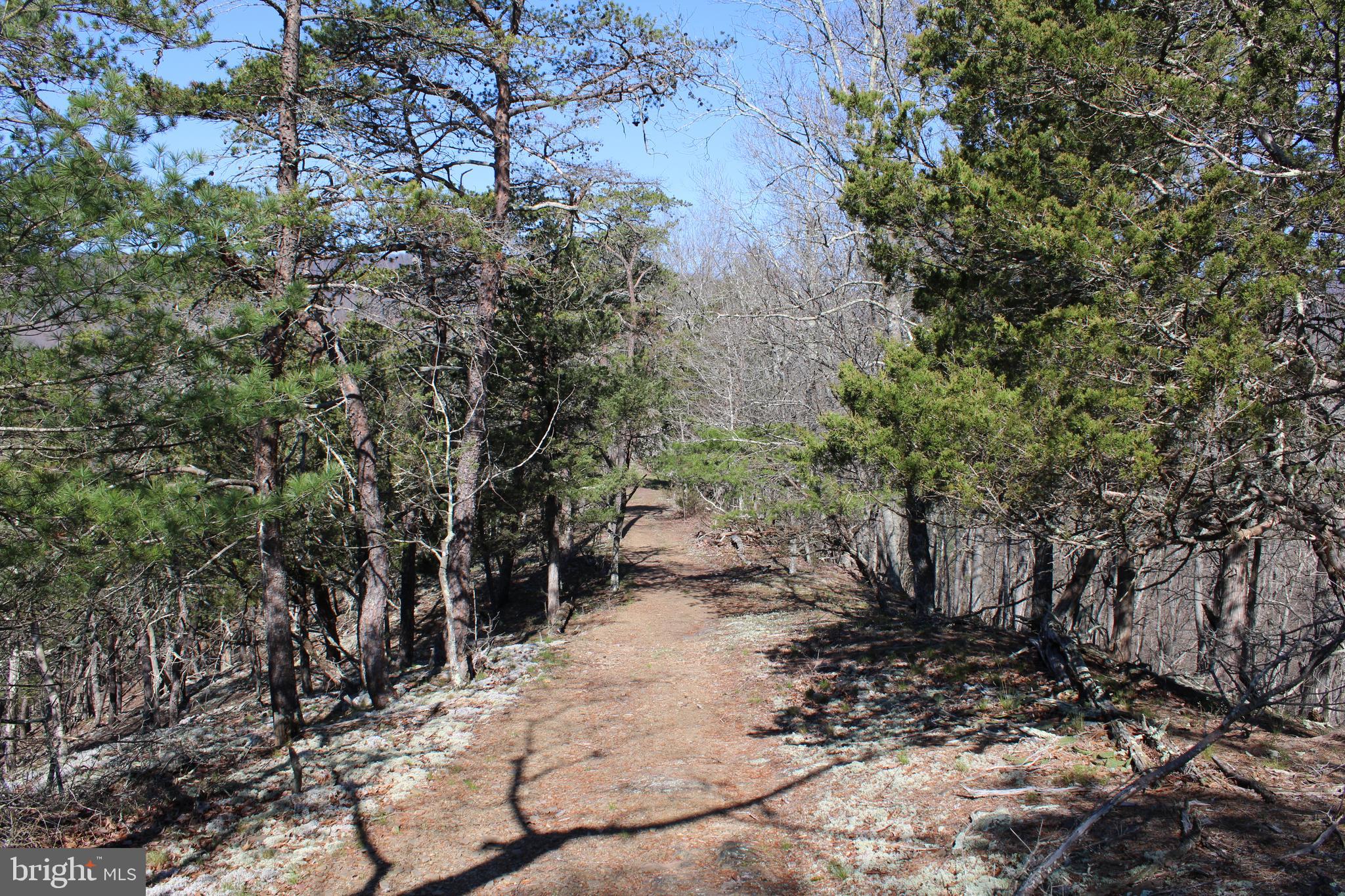 CACAPON HILLS - Land