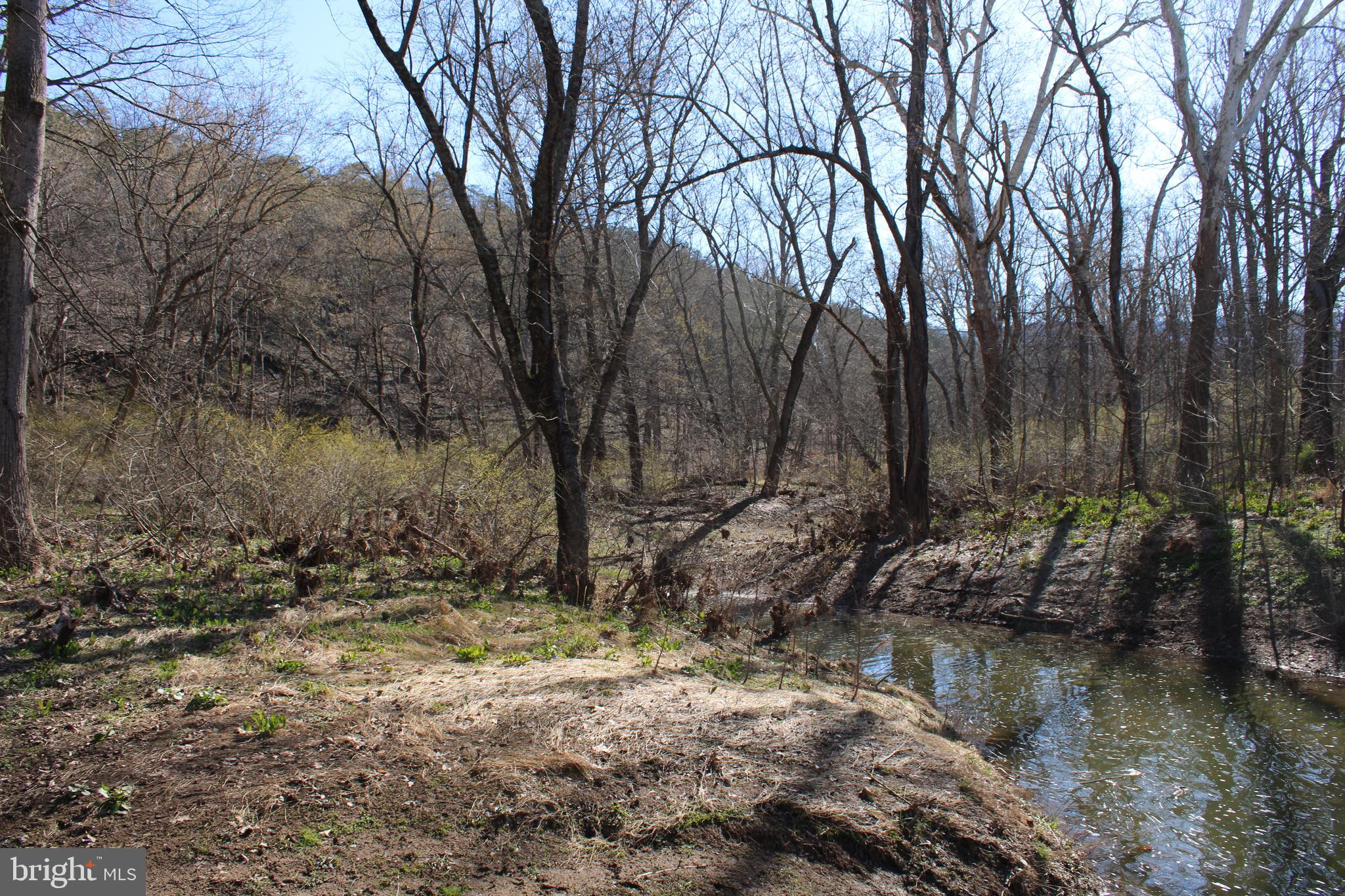 CACAPON HILLS - Land