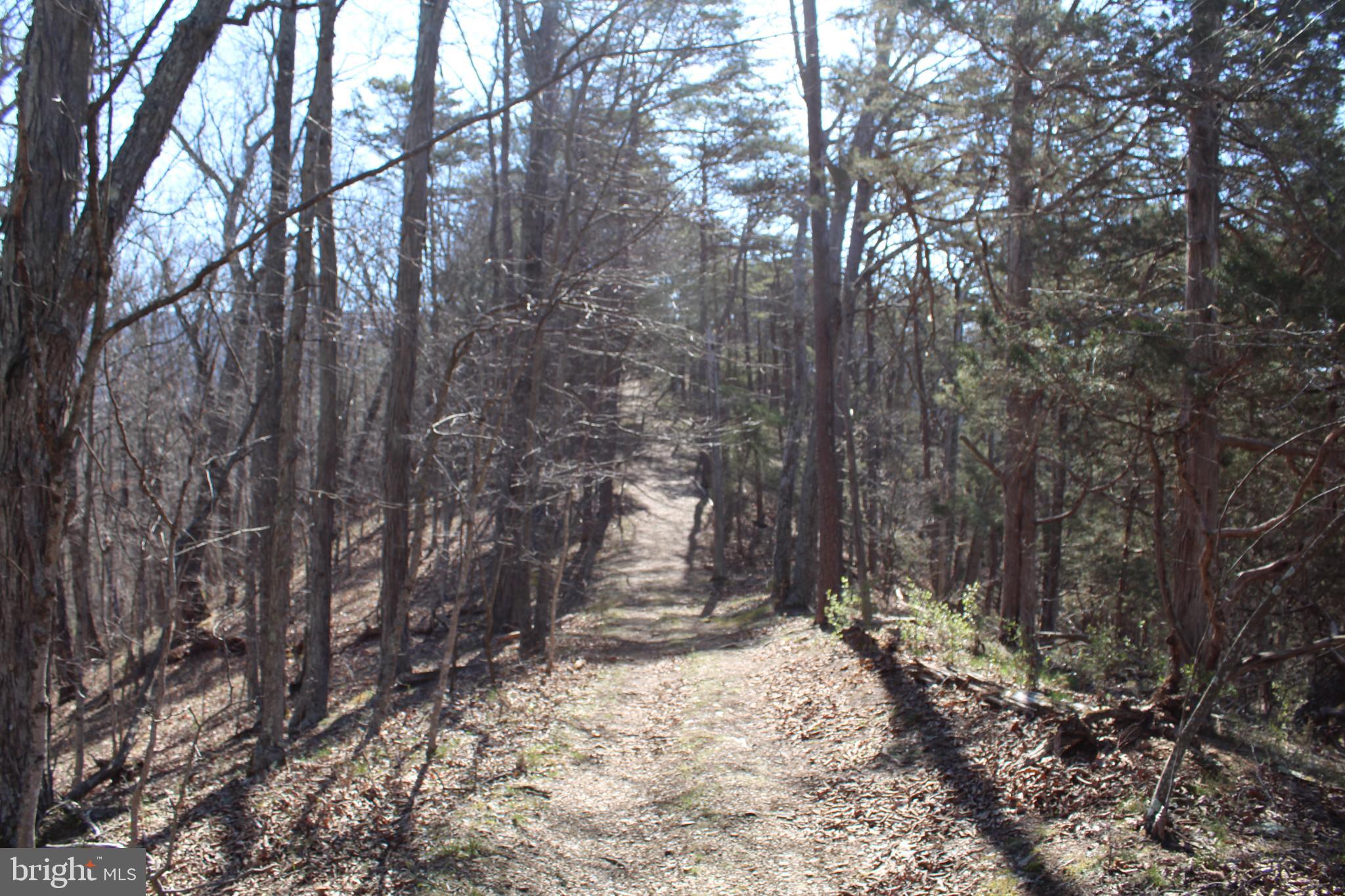 CACAPON HILLS - Land