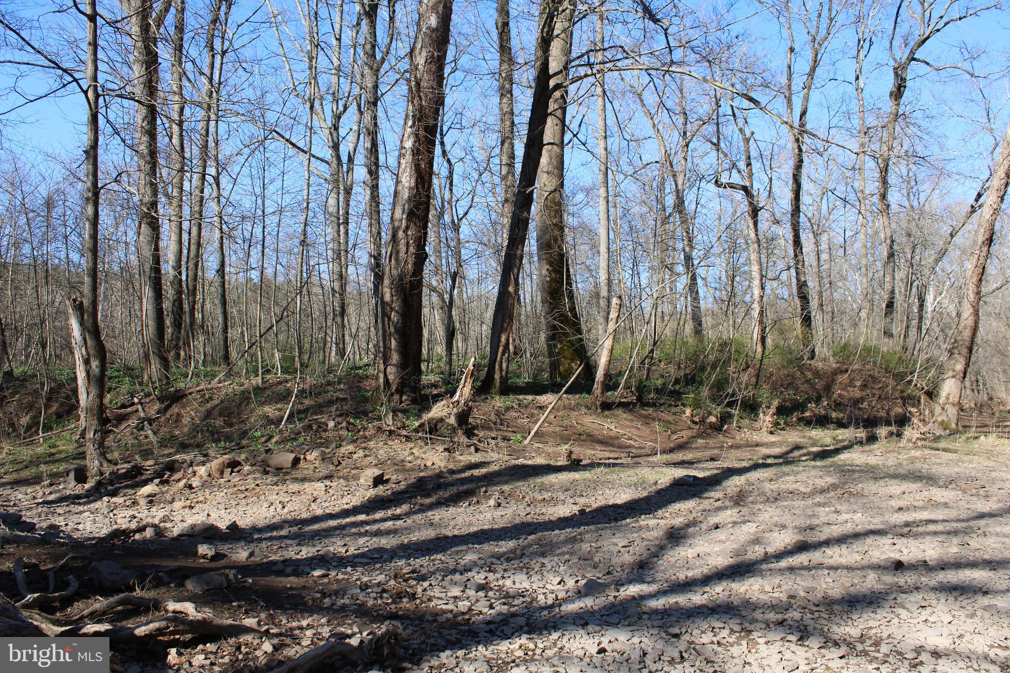 CACAPON HILLS - Land