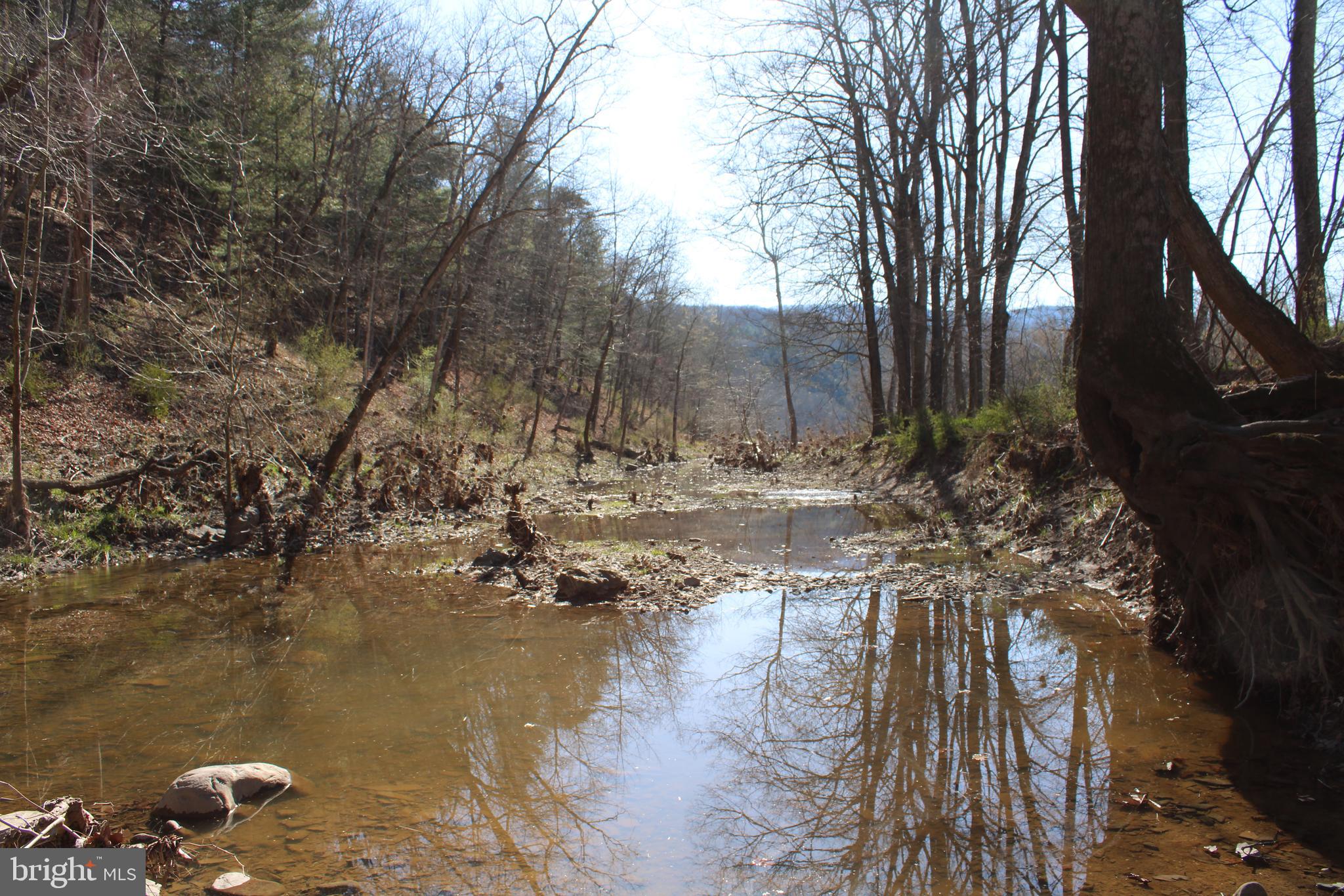 CACAPON HILLS - Land