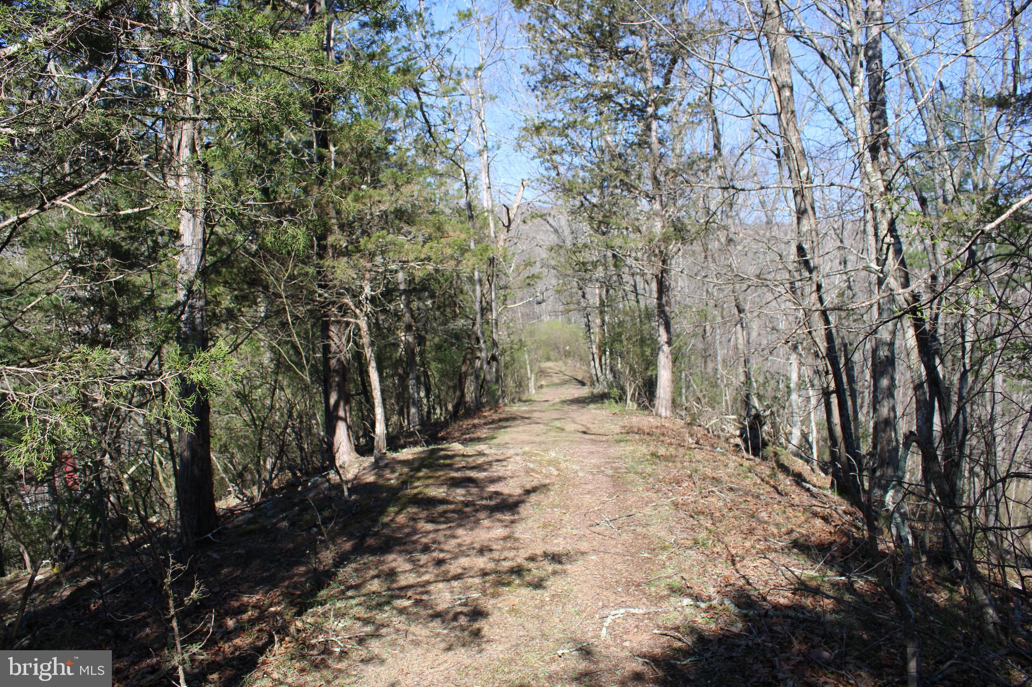 CACAPON HILLS - Land