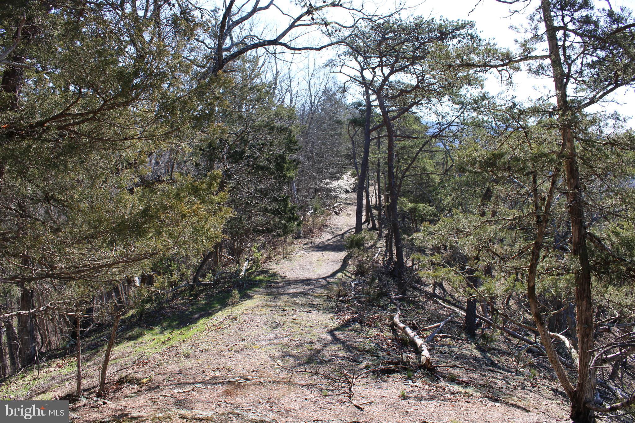 CACAPON HILLS - Land