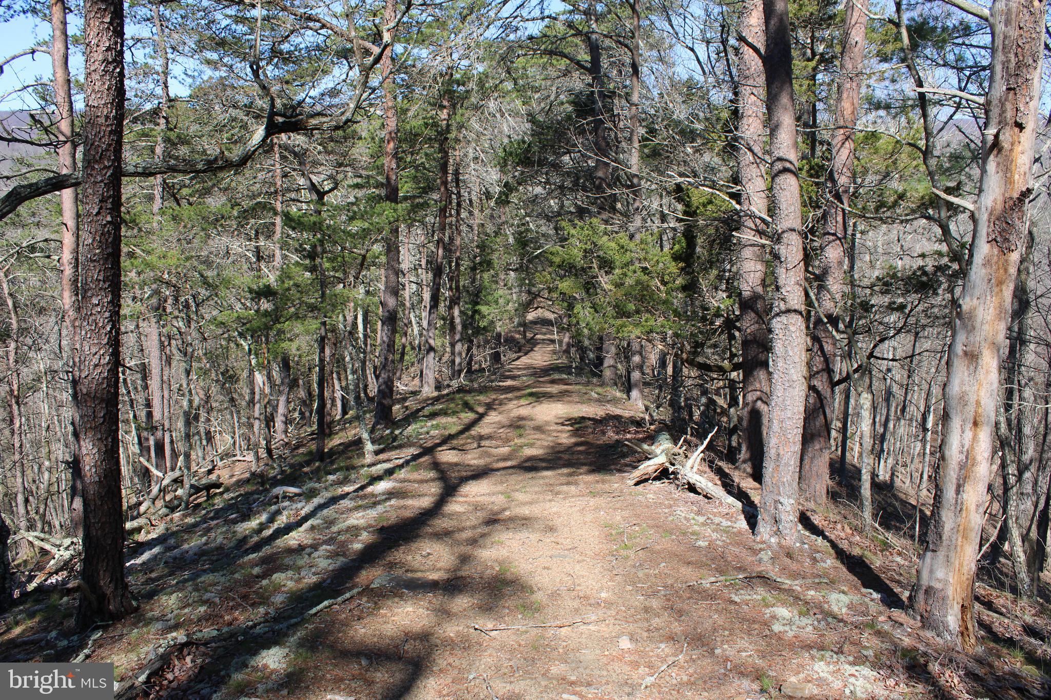 CACAPON HILLS - Land