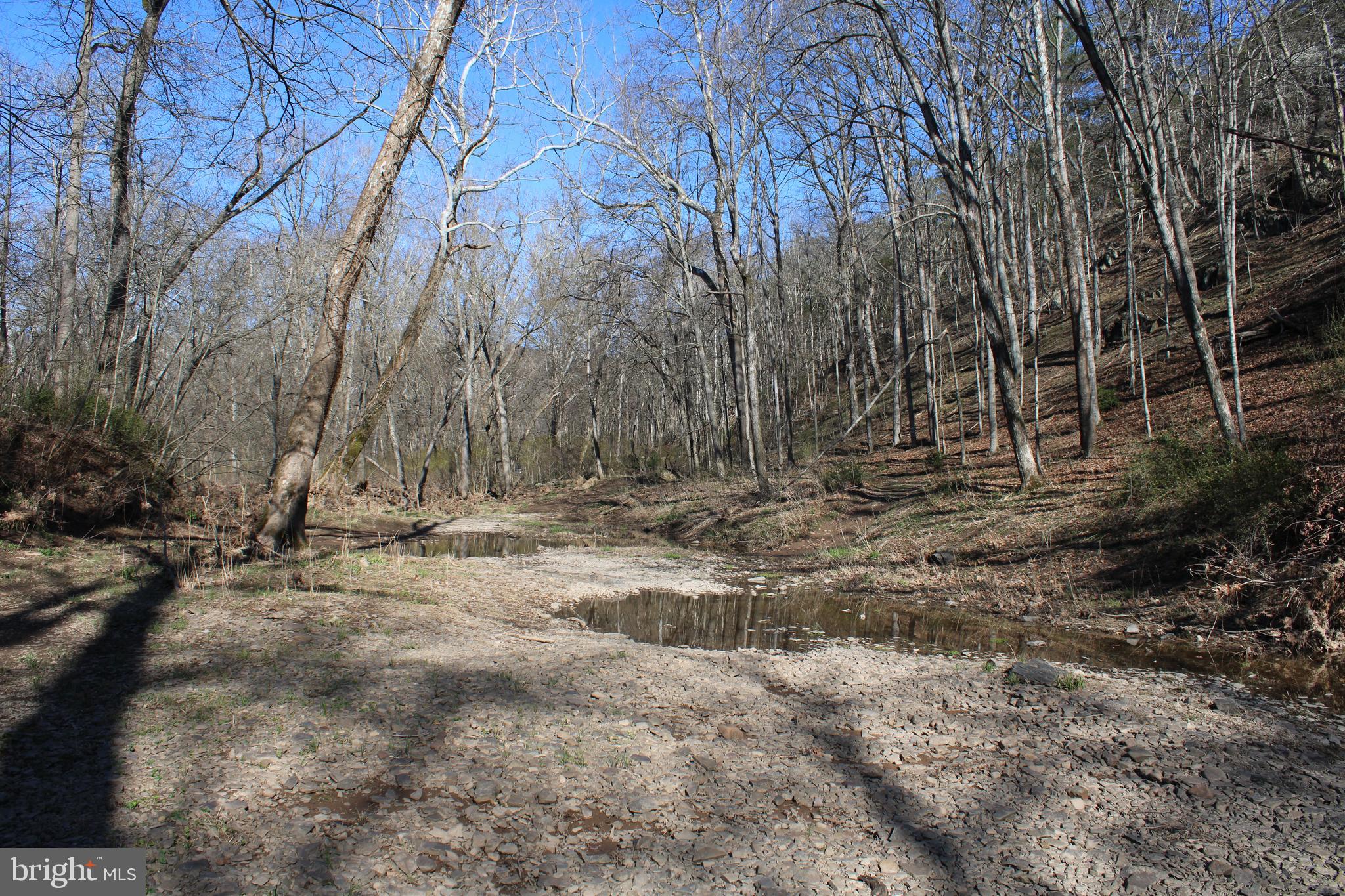 CACAPON HILLS - Land