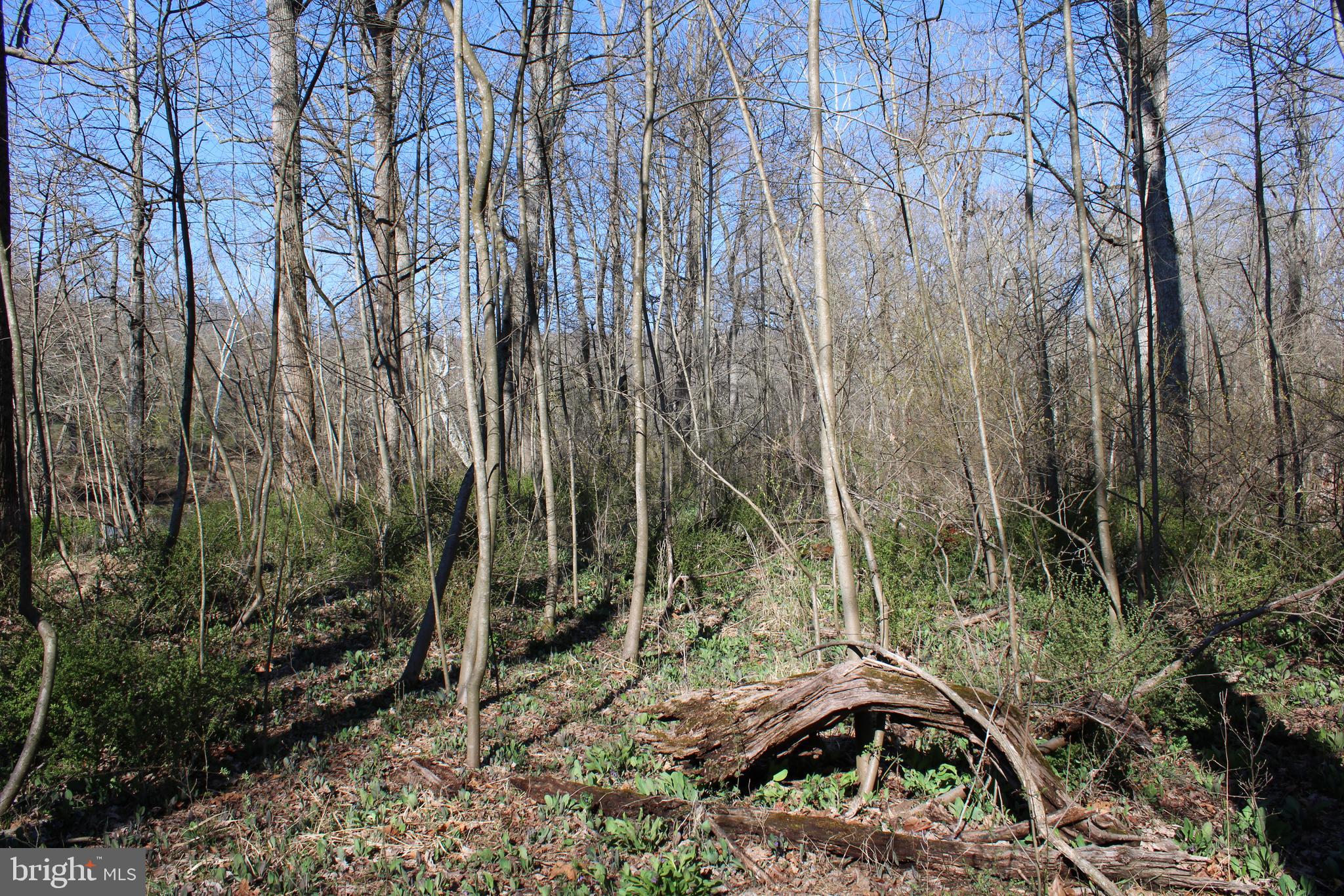 CACAPON HILLS - Land