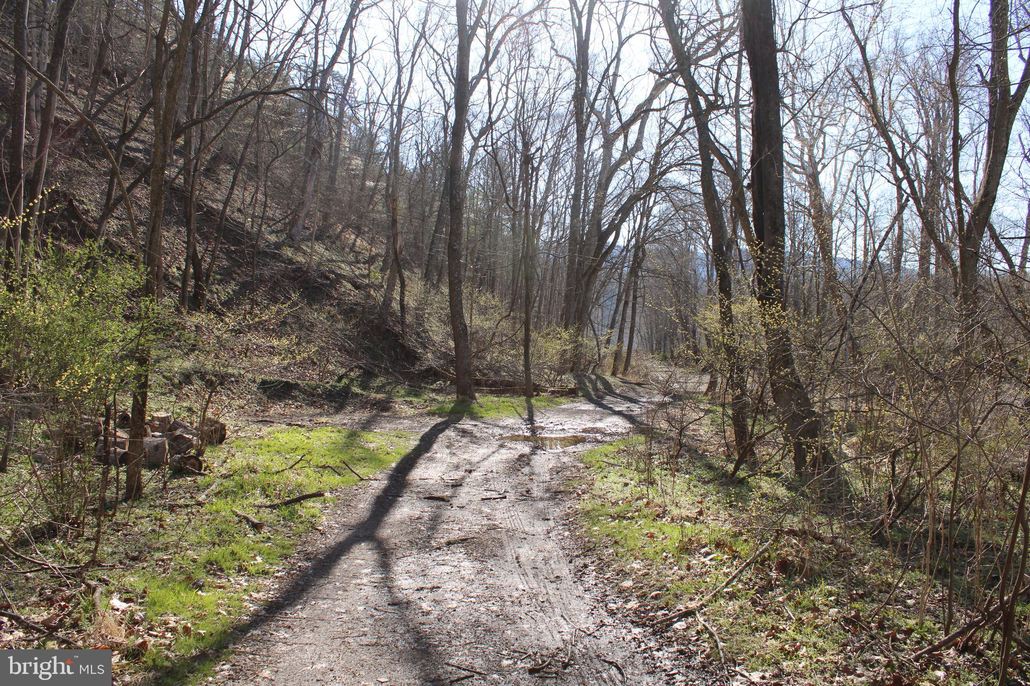 CACAPON HILLS - Land