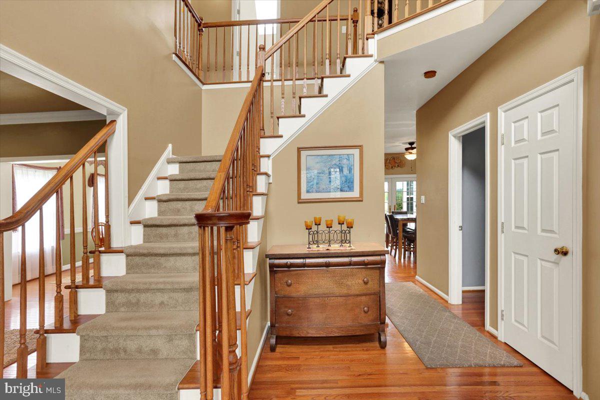 135 WALTER DRIVE