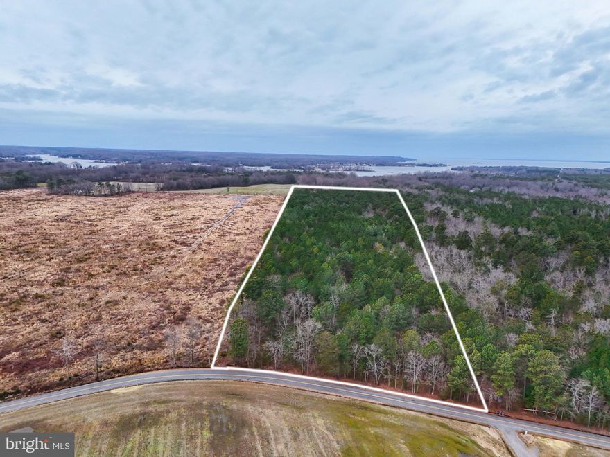 LIVE on the market: almost 9.5 acres of beautiful timbered land in Westmoreland County. If you are looking for a build site with lots of space and the privacy afforded by majestic trees, this is it! It would also be great for camping, hunting, a little get-away cabin, etc.! It is just minutes from Coles Point Marina & RV Resort, Machodoc Creek, Nomini Creek, and other bodies of water. It is also a quick hop to Montross, Westmoreland State Park, Potomac Mills, and more.