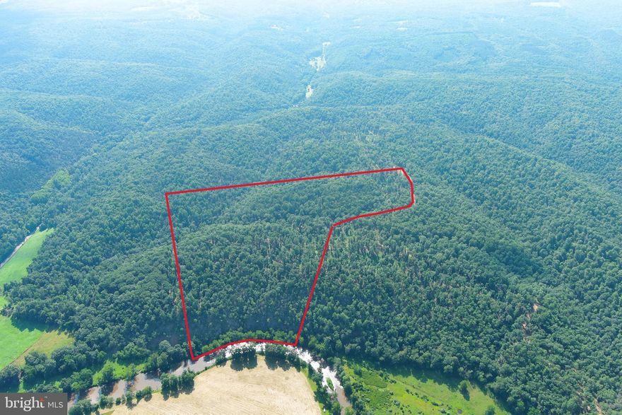 RIVER RIDGE.....79 WOODED ACRES WITH 885 FT OF FRONTAGE ON WV'S CLEANEST RIVER "THE CACAPON" IT'S FOR LOOKS ONLY, THE TRIP TO THE RIVER IS ONE WAY....DOWN! THE KEY ATTRIBUTE OF THIS PROPERTY IS THE THE VIEW....WIDE RIDGE ABOVE THE RIVER PROVIDES MULTIPLE PRIVATE BUILDING WITH UNOBSTRUCTED VIEWS OF THE RIVER, MOUNTAIN & FARMS BELOW....POSTCARD WORTHY VIEWS. THE LAND LAYS NICE ASIDE FROM THE CLIFF TO THE RIVER, EASY TO HUNT & HIKE. PARADISE FOUND ONLY 1 MILE OFF THE PAVED ROAD.....LESS THAN 15 MINUTES FROM THE THRIVING VILLAGE OF WARDENSVILLE, 35 MINUTES FROM WINCHESTER, VA AND 110 MILES FROM THE WHITE HOUSE! EASY TO GET TO BUT HARD TO FIND, THE DRIVE FROM DC BELTWAY IS A BREEZE. NO HOA AND MINIMAL DEED RESTRICTIONS. THIS LAND IS WORTHY OF A TROPHY HOME, THE PERFECT PLACE FOR YOUR FOREVER HOME.