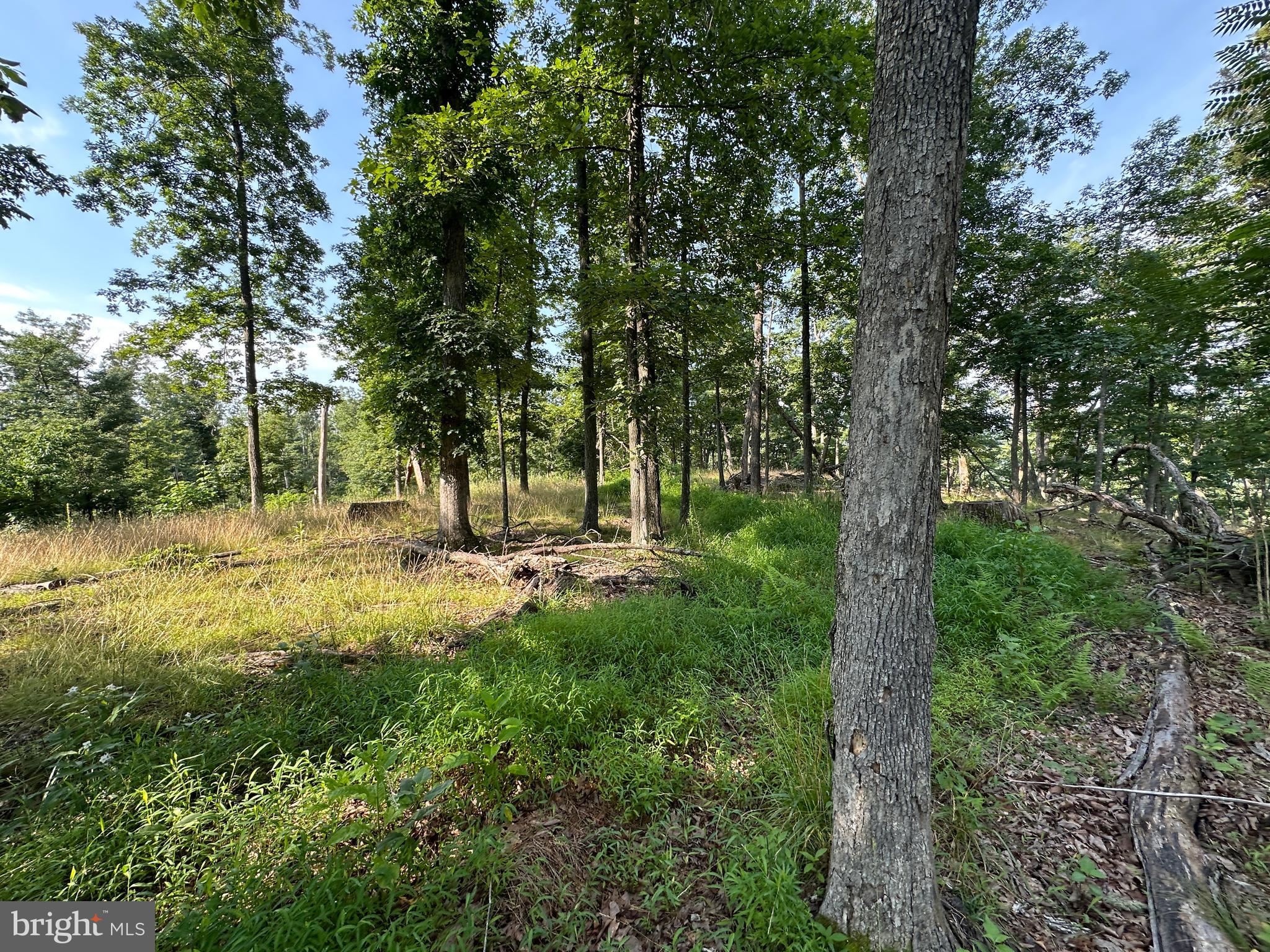 NONE AVAILABLE - Land