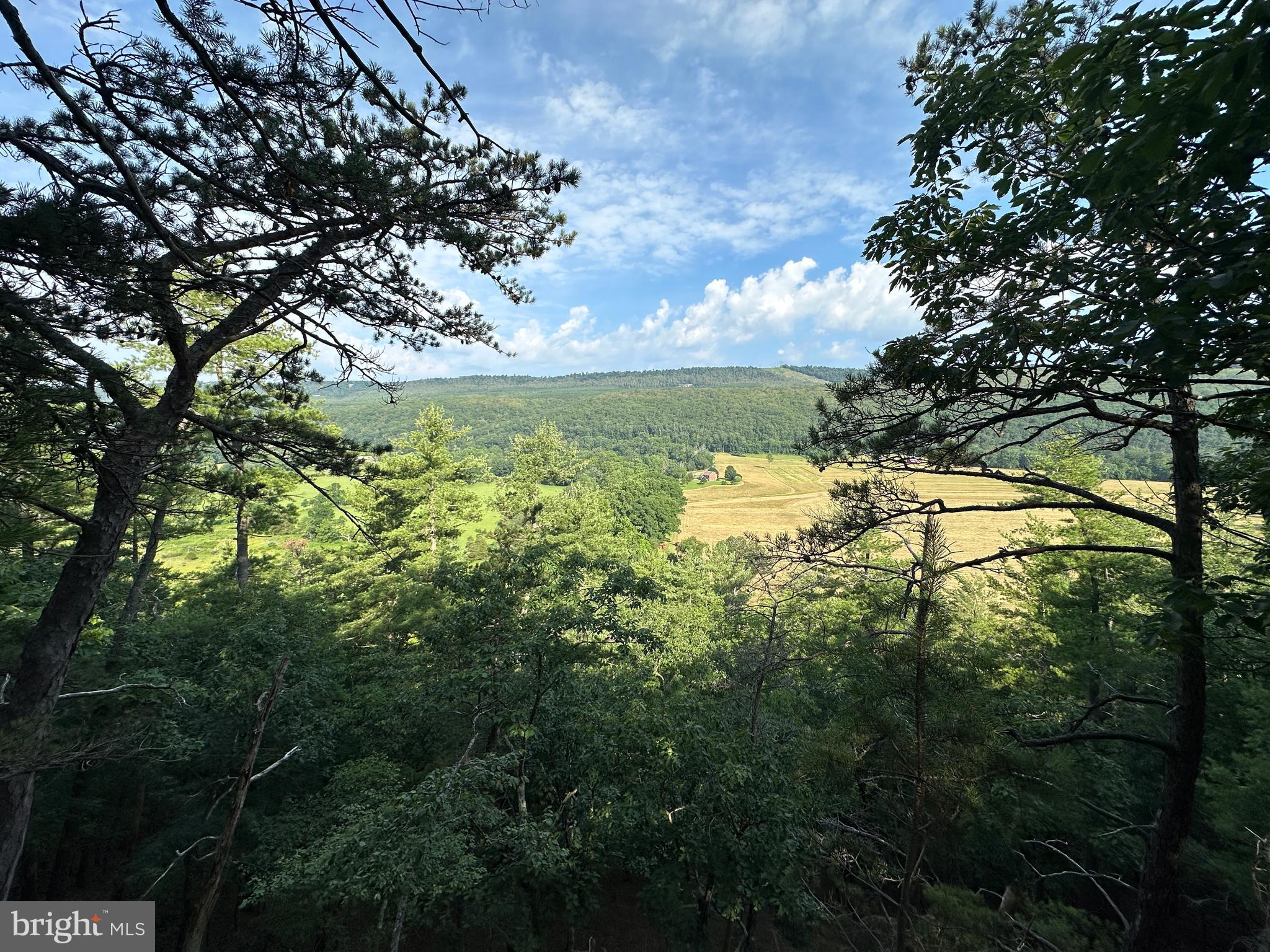 NONE AVAILABLE - Land