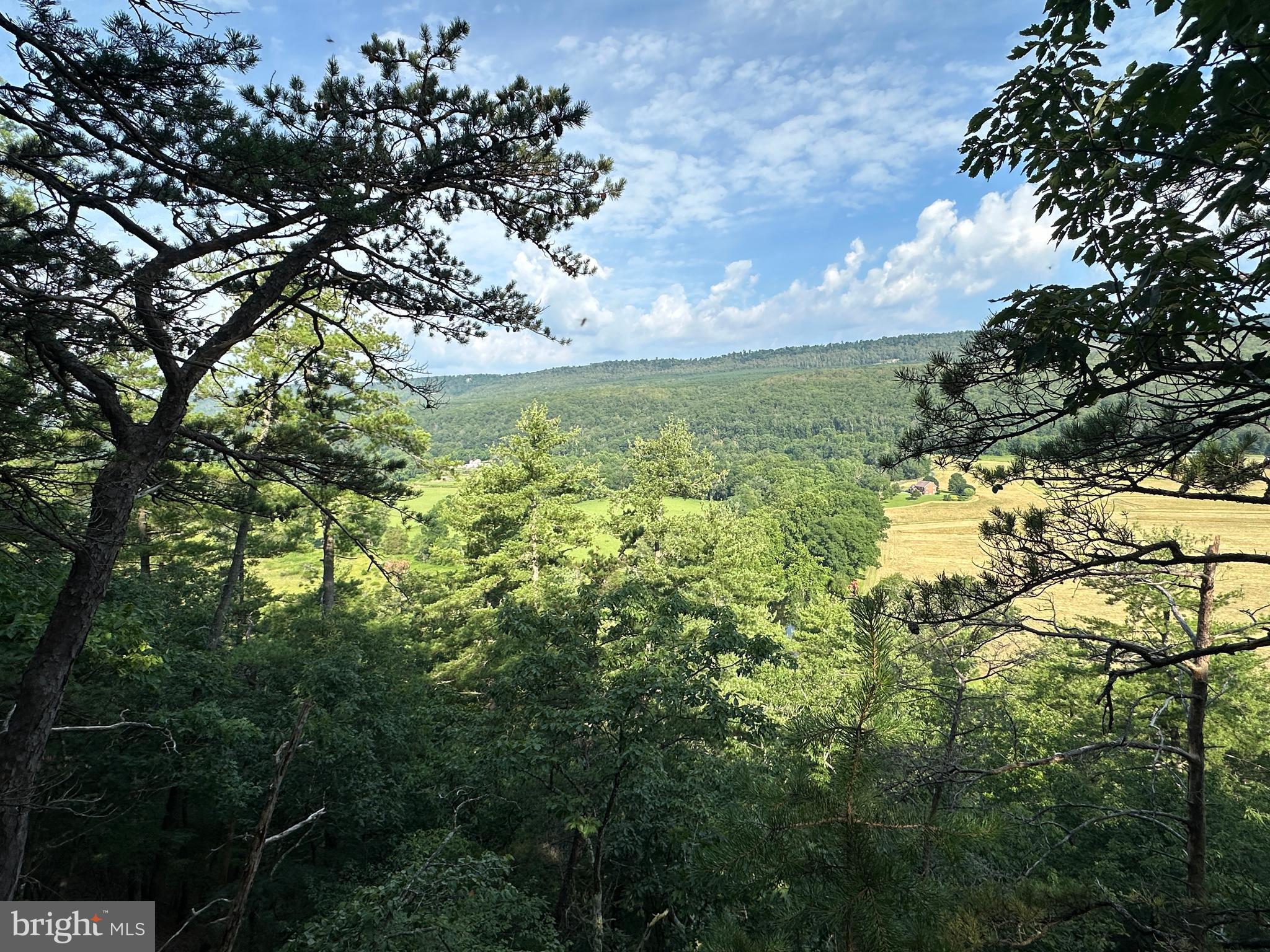 79 ACRES ON CACAPON RIVER