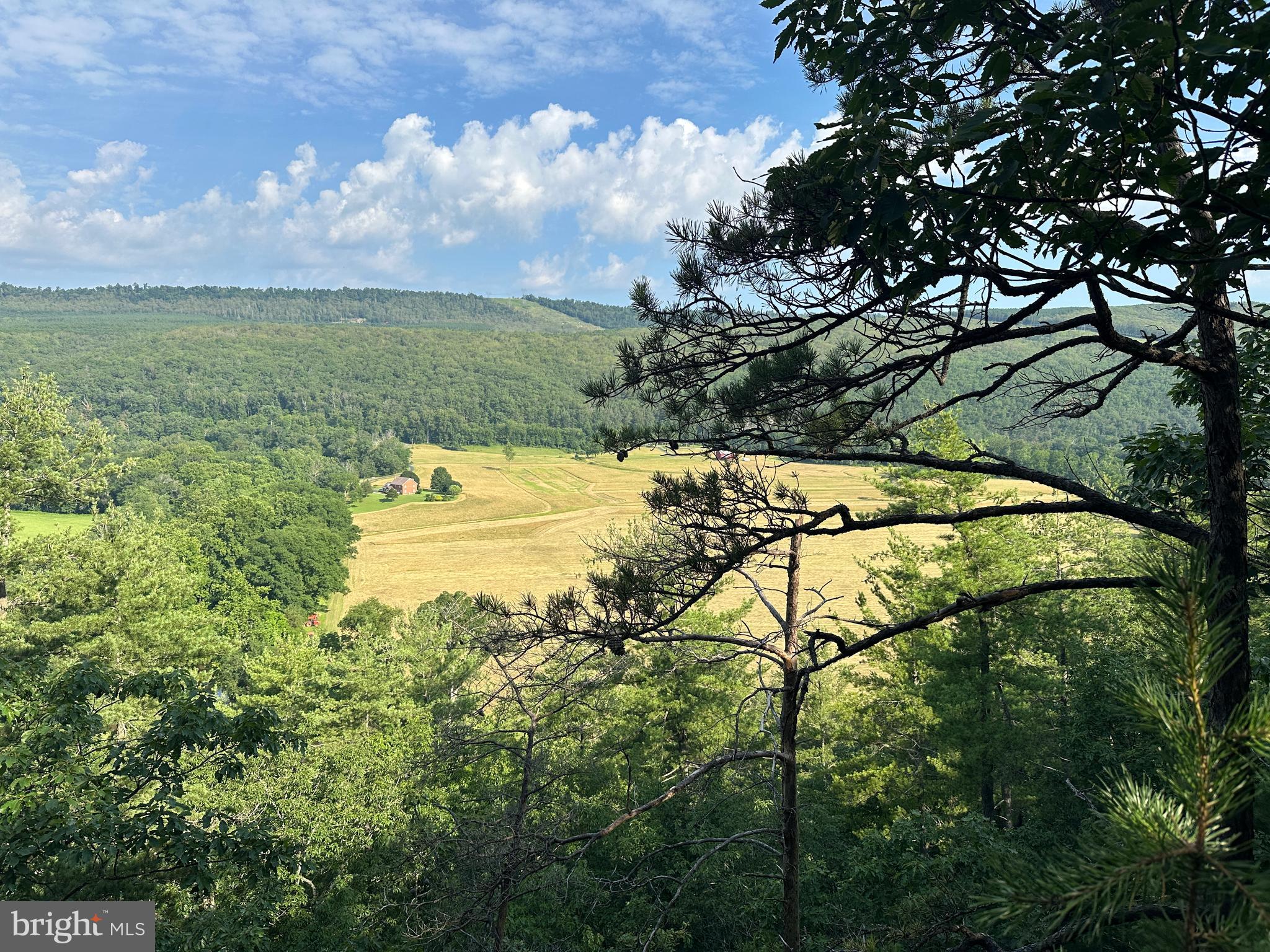 79 ACRES ON CACAPON RIVER