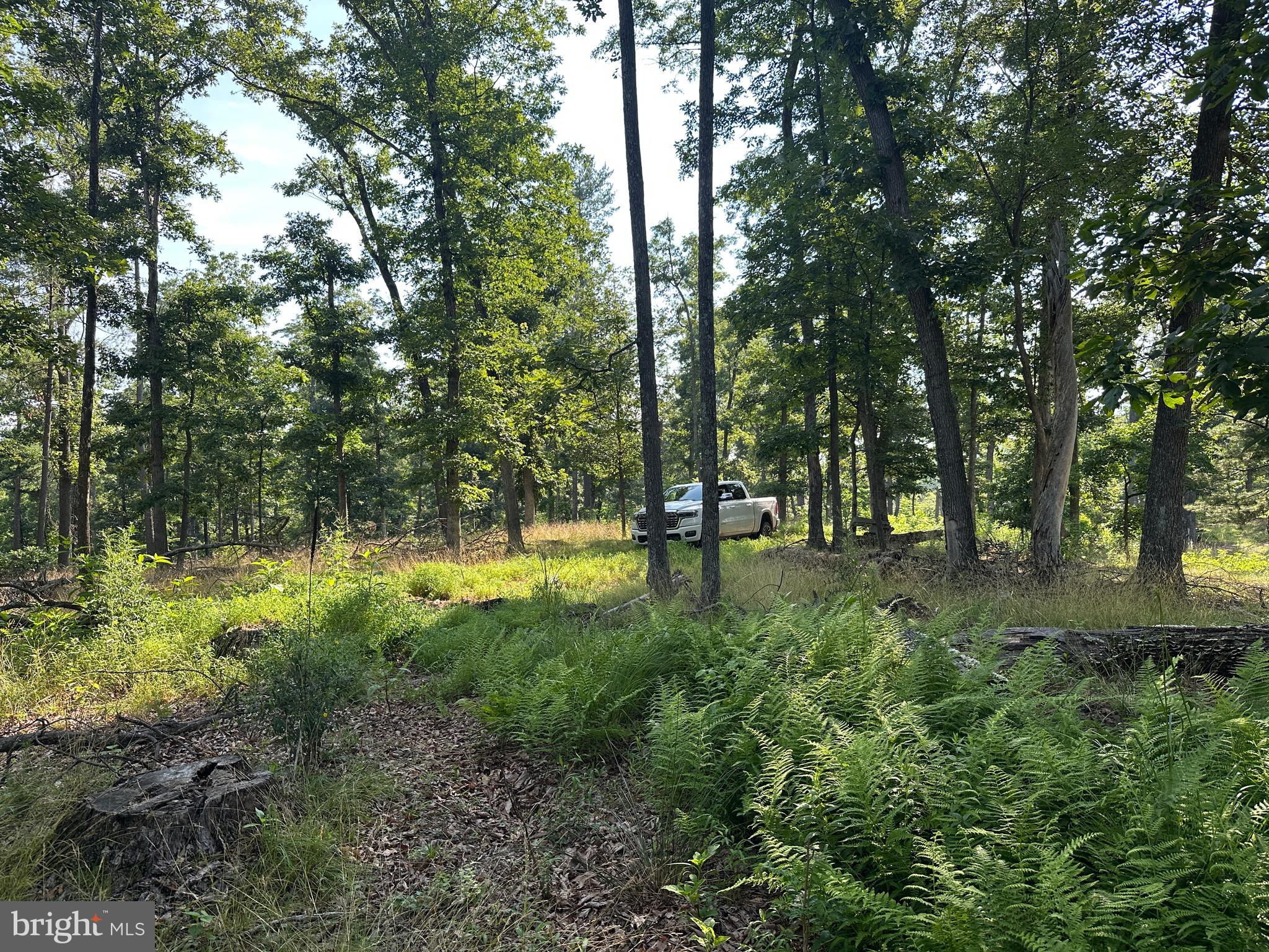 NONE AVAILABLE - Land