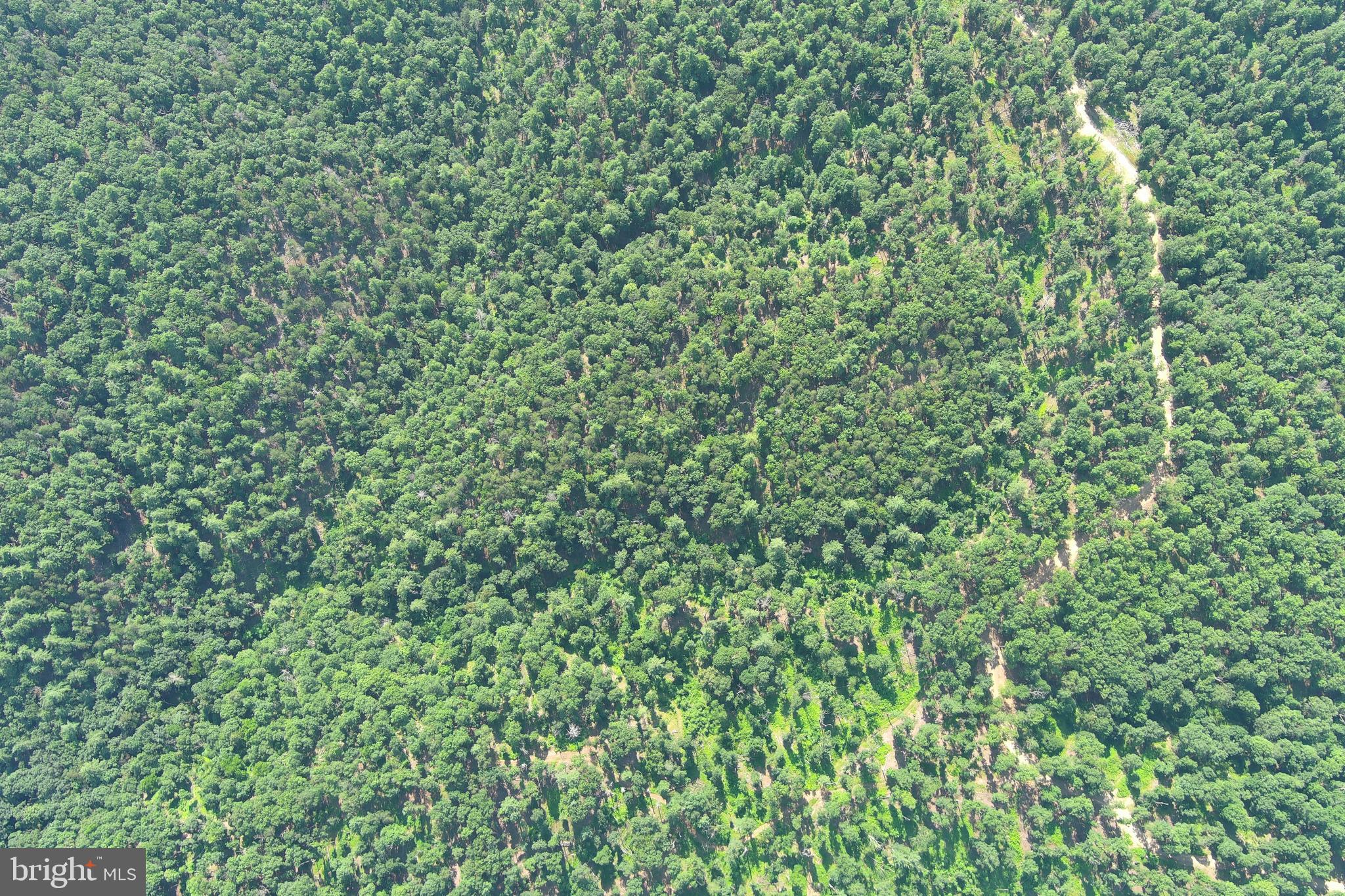 NONE AVAILABLE - Land