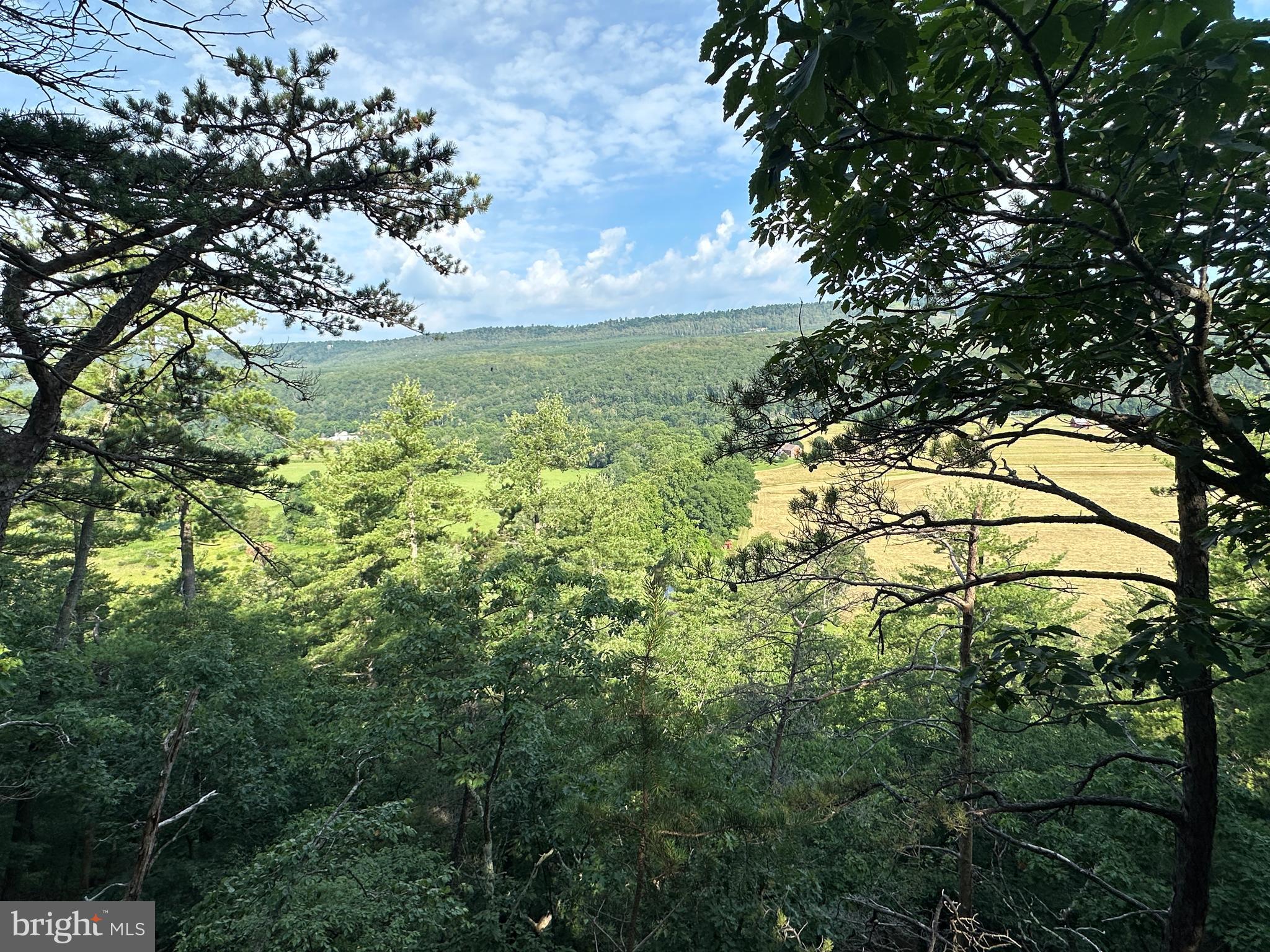 79 ACRES ON CACAPON RIVER