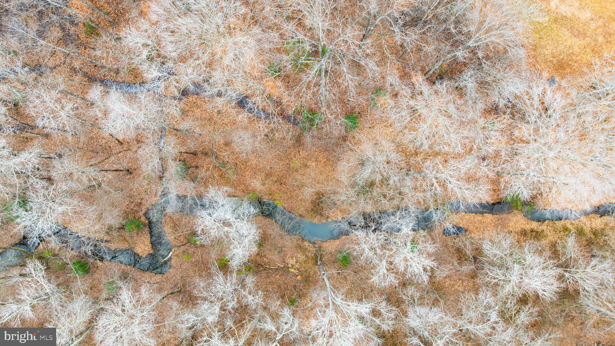 WOODFORD - Residential