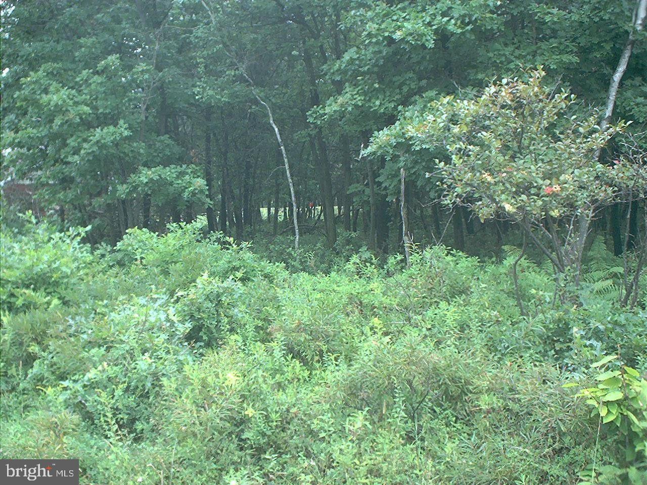 0 ORONO DR A 19