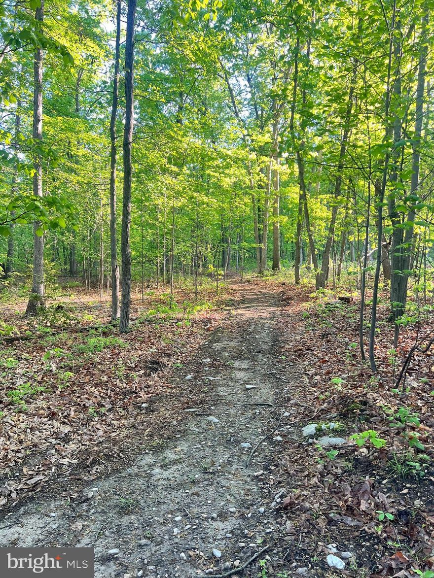 LOT 2, 180 Gutshall Rd Shippensburg. Private, Wooded 11.9 Acres – Prime Location, Build-Ready!
Rare opportunity to own nearly 12 wooded acres in a highly desirable location. This secluded yet accessible property offers the perfect setting for a private residence, retreat, or investment. A homesite has already been cleared, surrounded by mature trees and natural landscape.
Perc test completed 11/17/2020 with three approved sites—valid through 2030. Septic design plans included. Well approval secured. Shared driveway in place for established access. Conveniently located near major roads and amenities, while maintaining a quiet, private setting.
Supporting documents and site details available upon request.