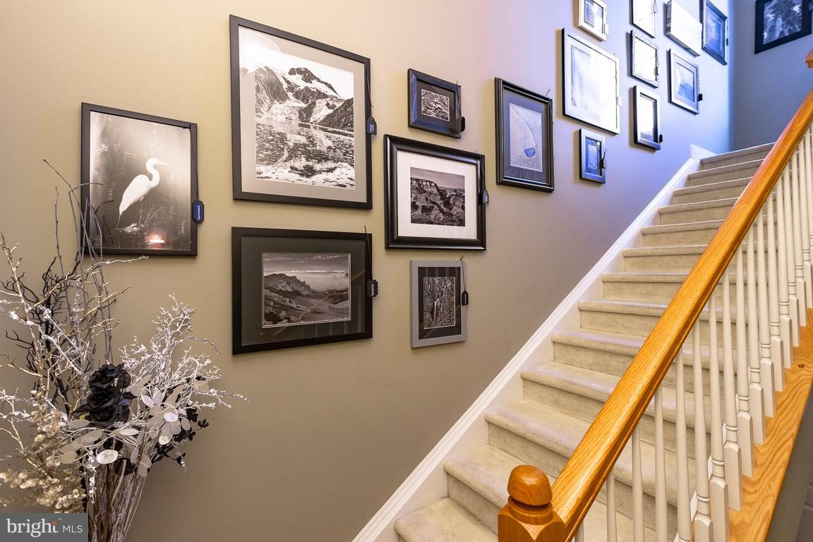 POTOMAC CLUB - Residential