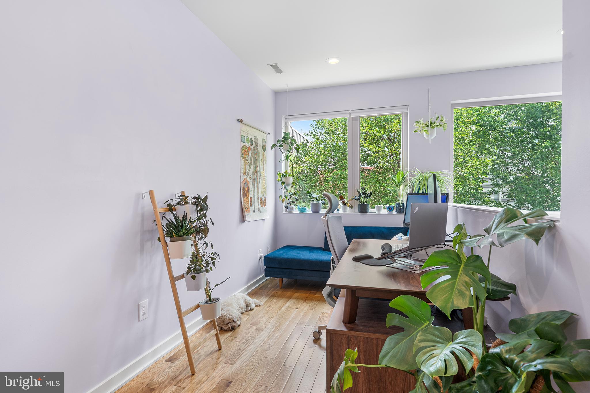 EAST KENSINGTON - Residential