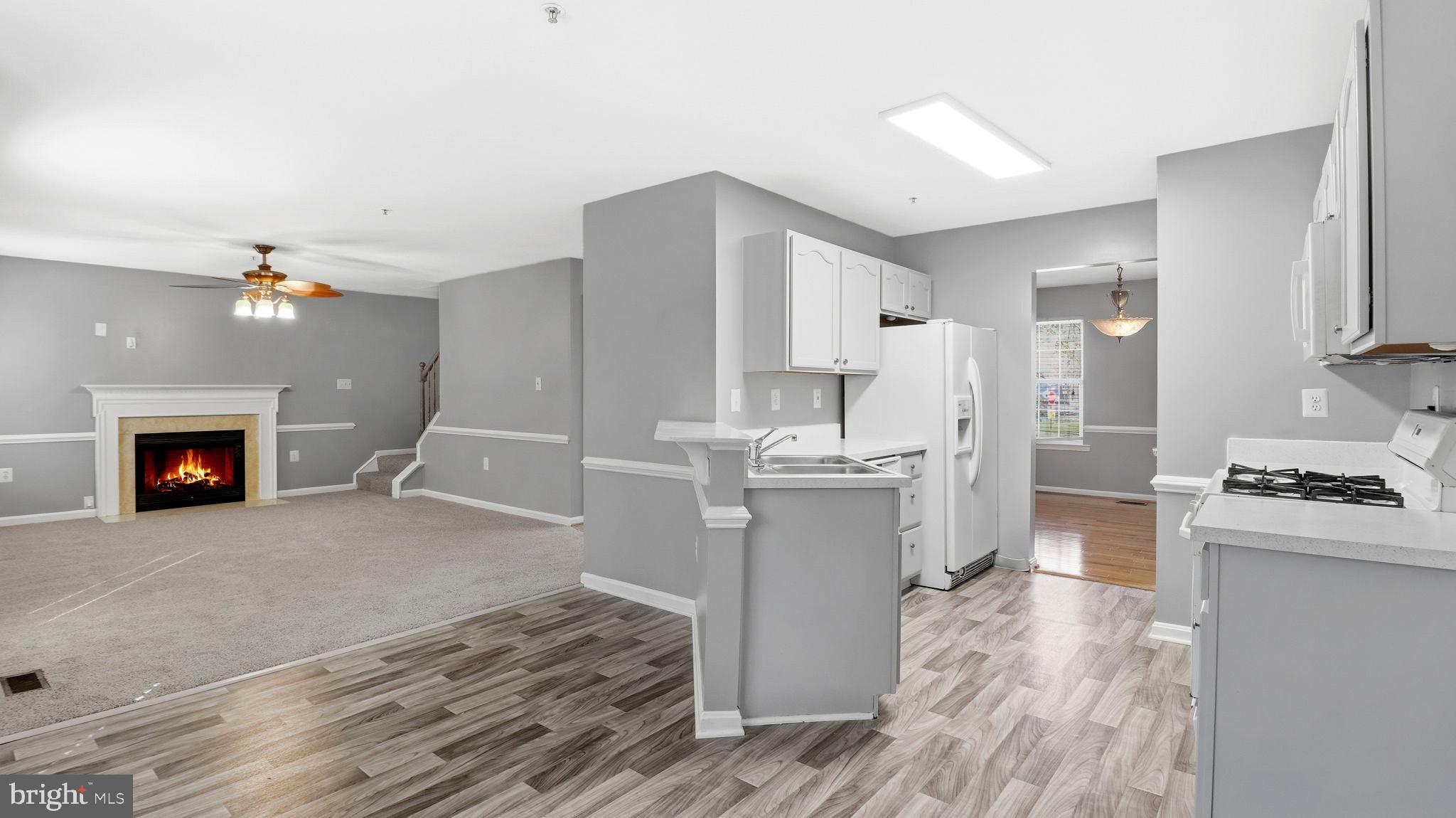 BRANDYWINE VILLAGE - Residential